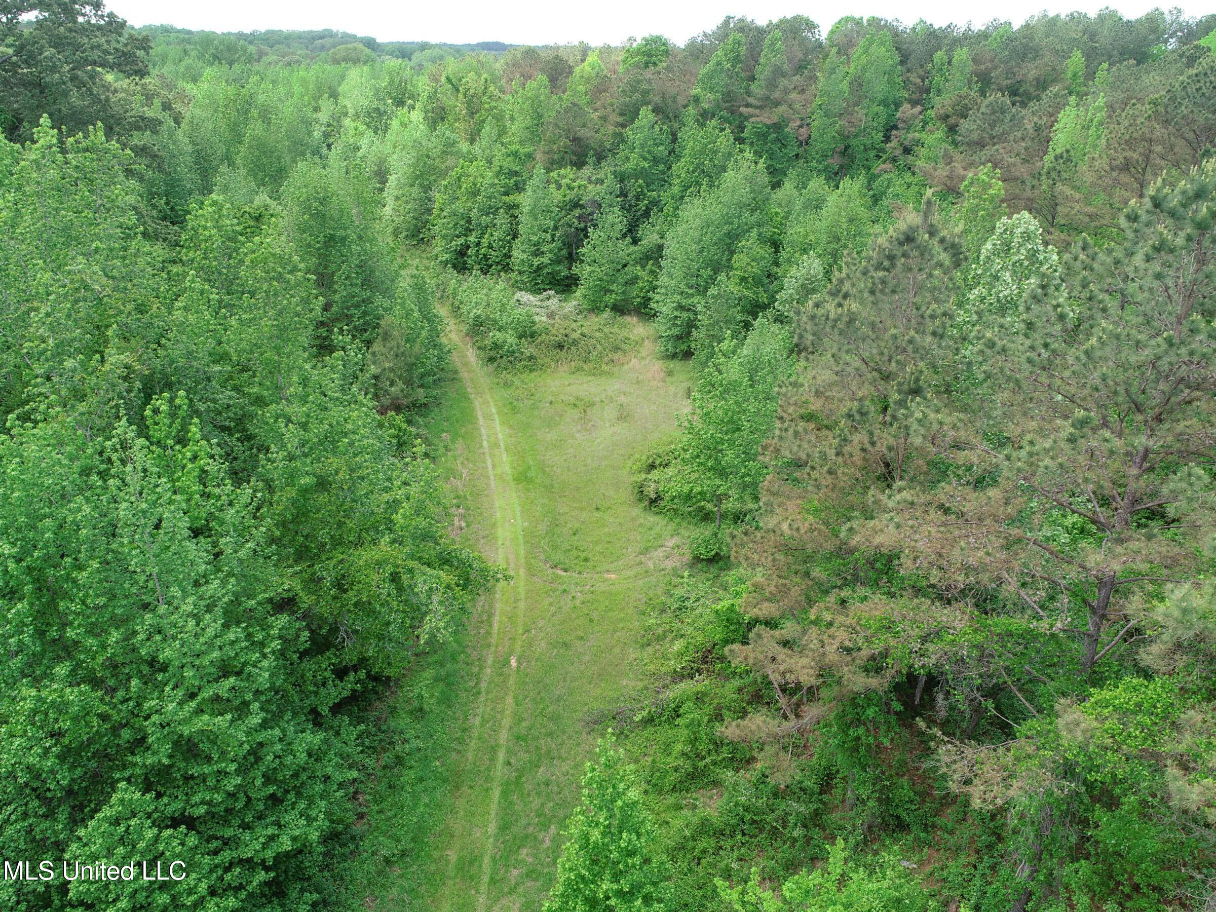 4505 Rutherford Road, Batesville, Mississippi image 29