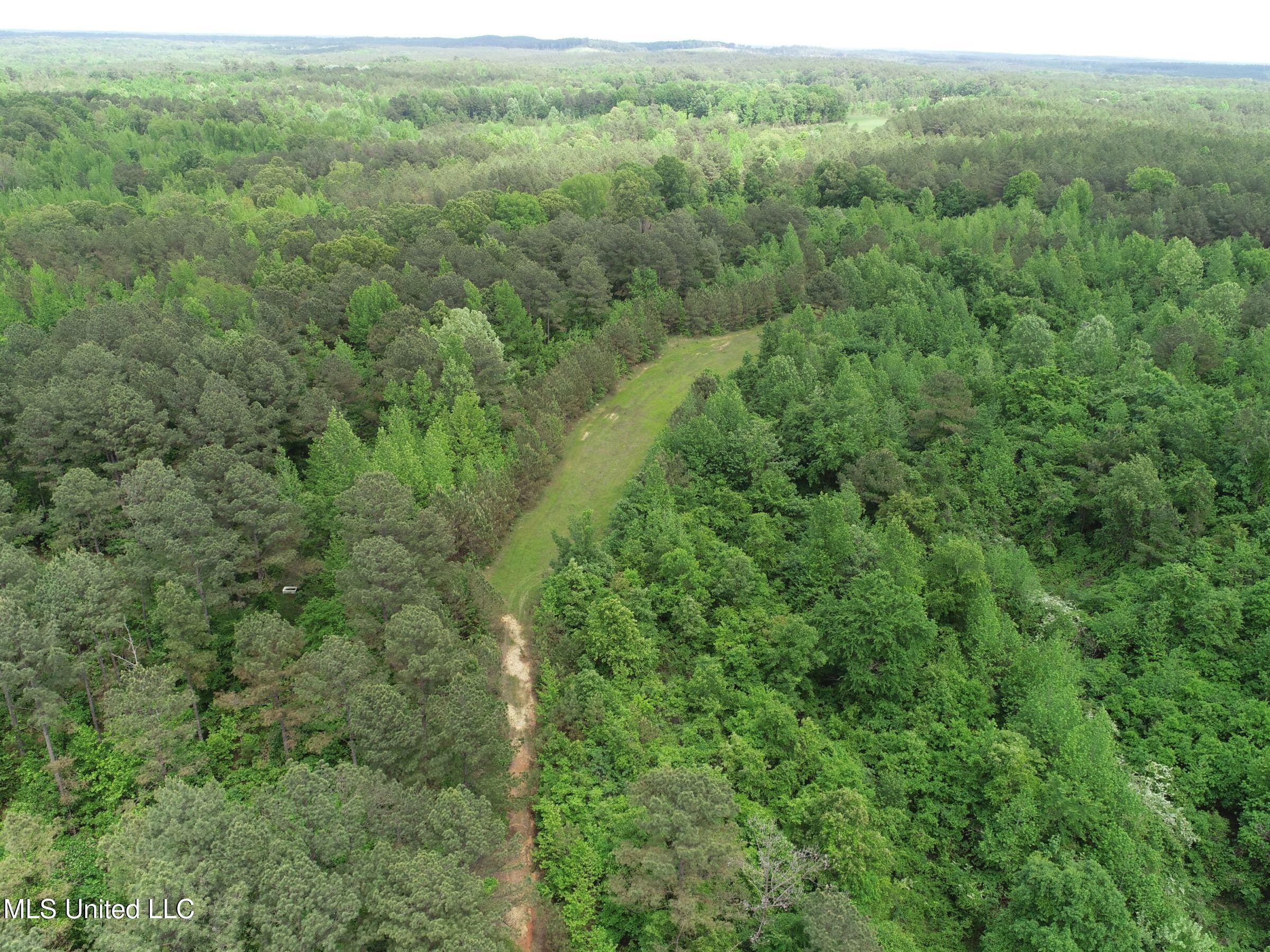 4505 Rutherford Road, Batesville, Mississippi image 37