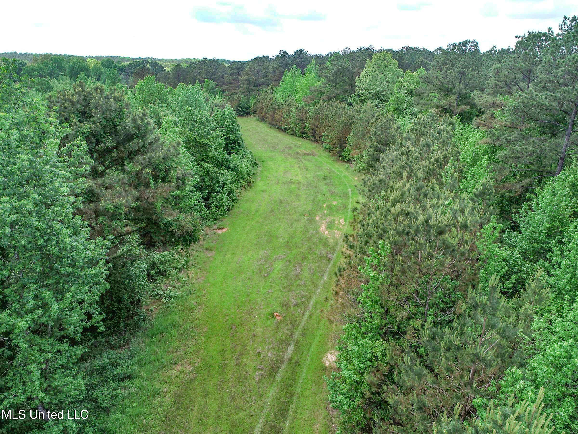 4505 Rutherford Road, Batesville, Mississippi image 43
