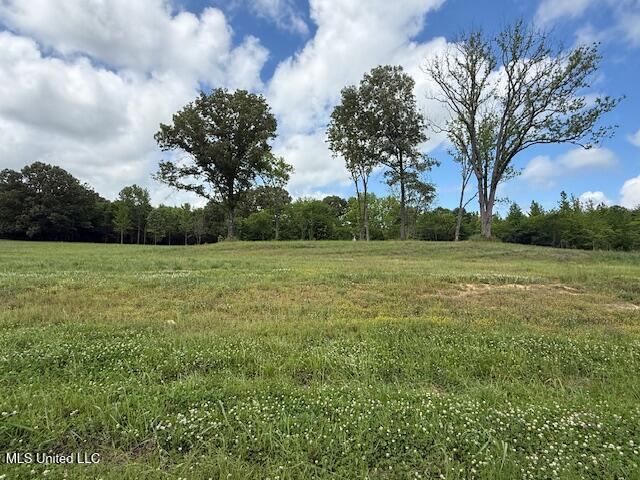 Cedar Crest Cove, Byhalia, Mississippi image 1