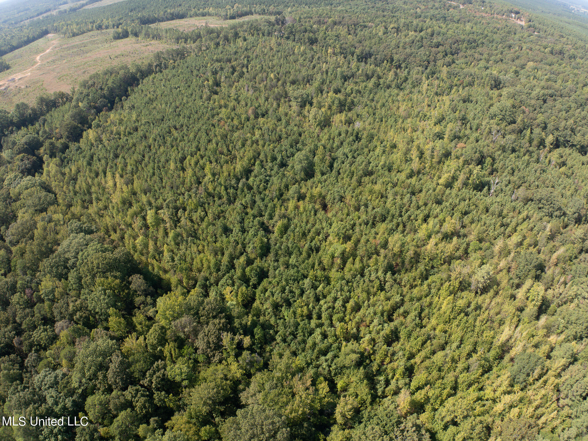 Cr 816, Blue Mountain, Mississippi image 2