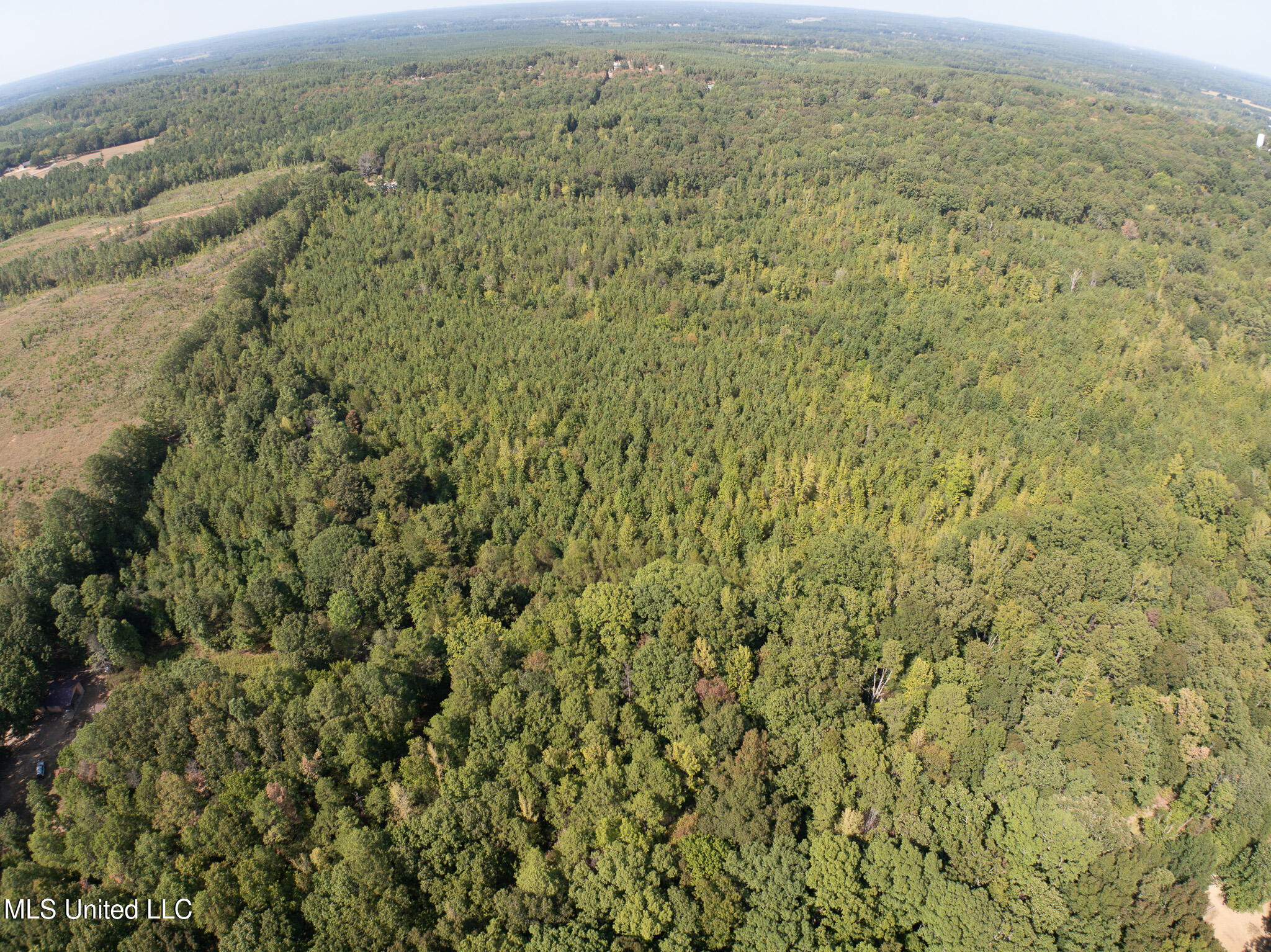 Cr 816, Blue Mountain, Mississippi image 36