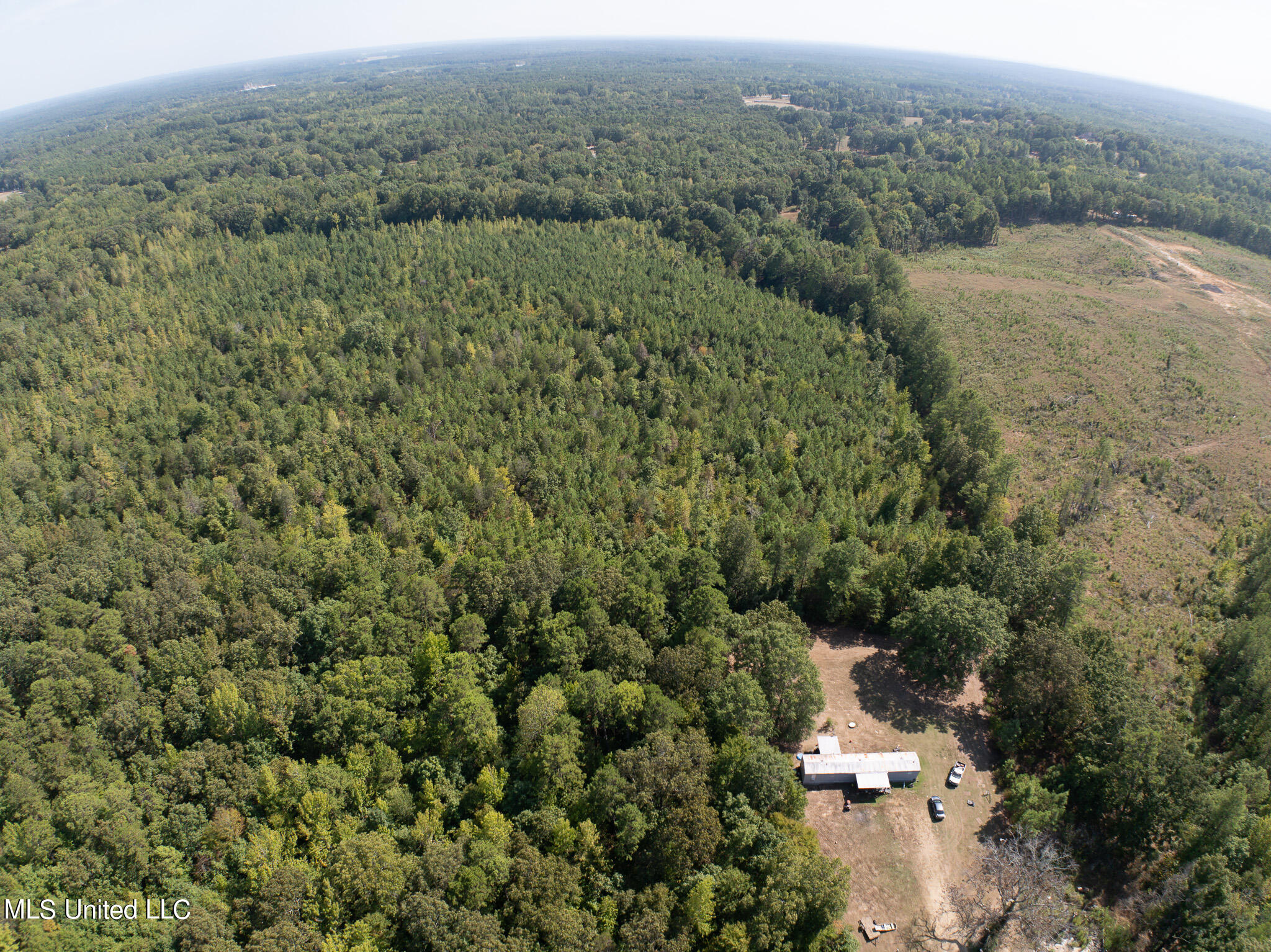 Cr 816, Blue Mountain, Mississippi image 5