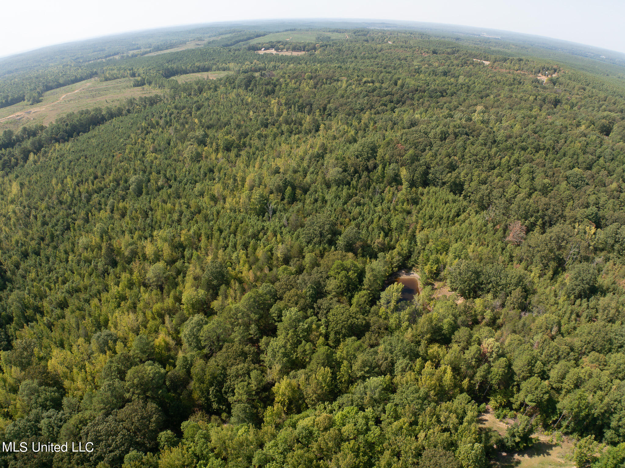 Cr 816, Blue Mountain, Mississippi image 35
