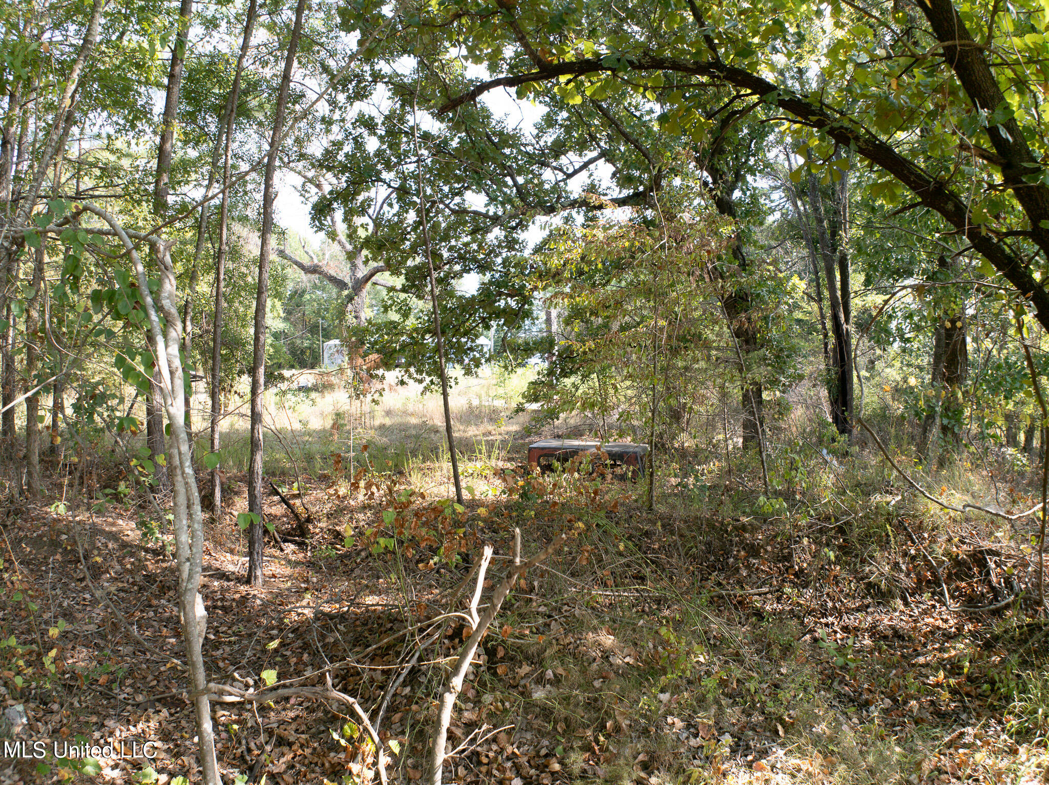 Cr 816, Blue Mountain, Mississippi image 30