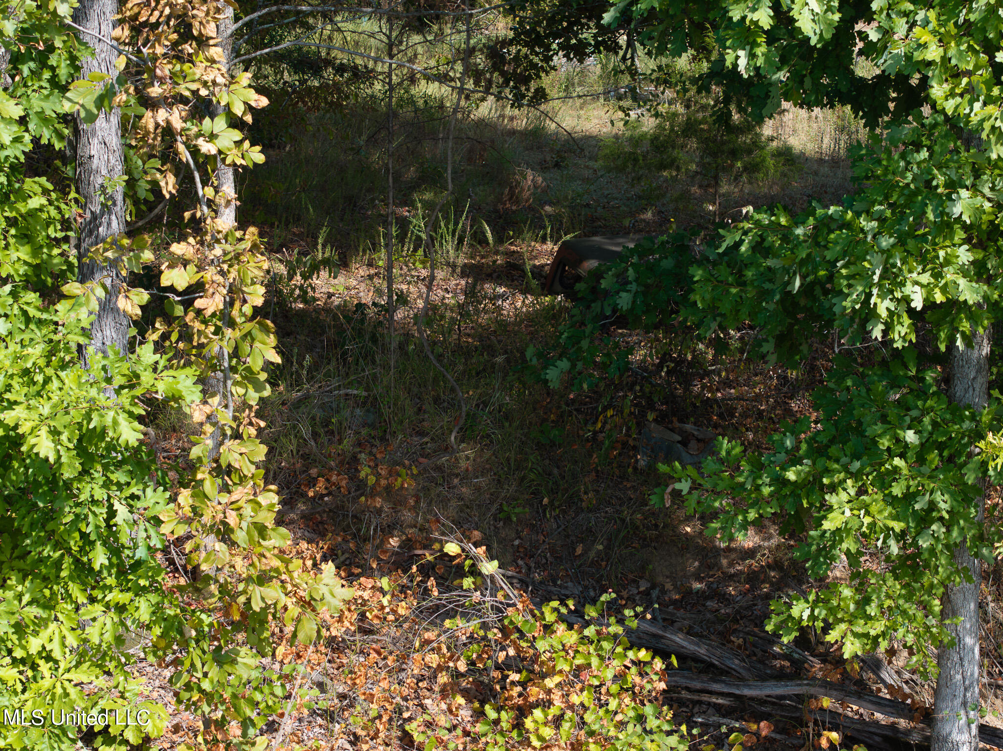 Cr 816, Blue Mountain, Mississippi image 13