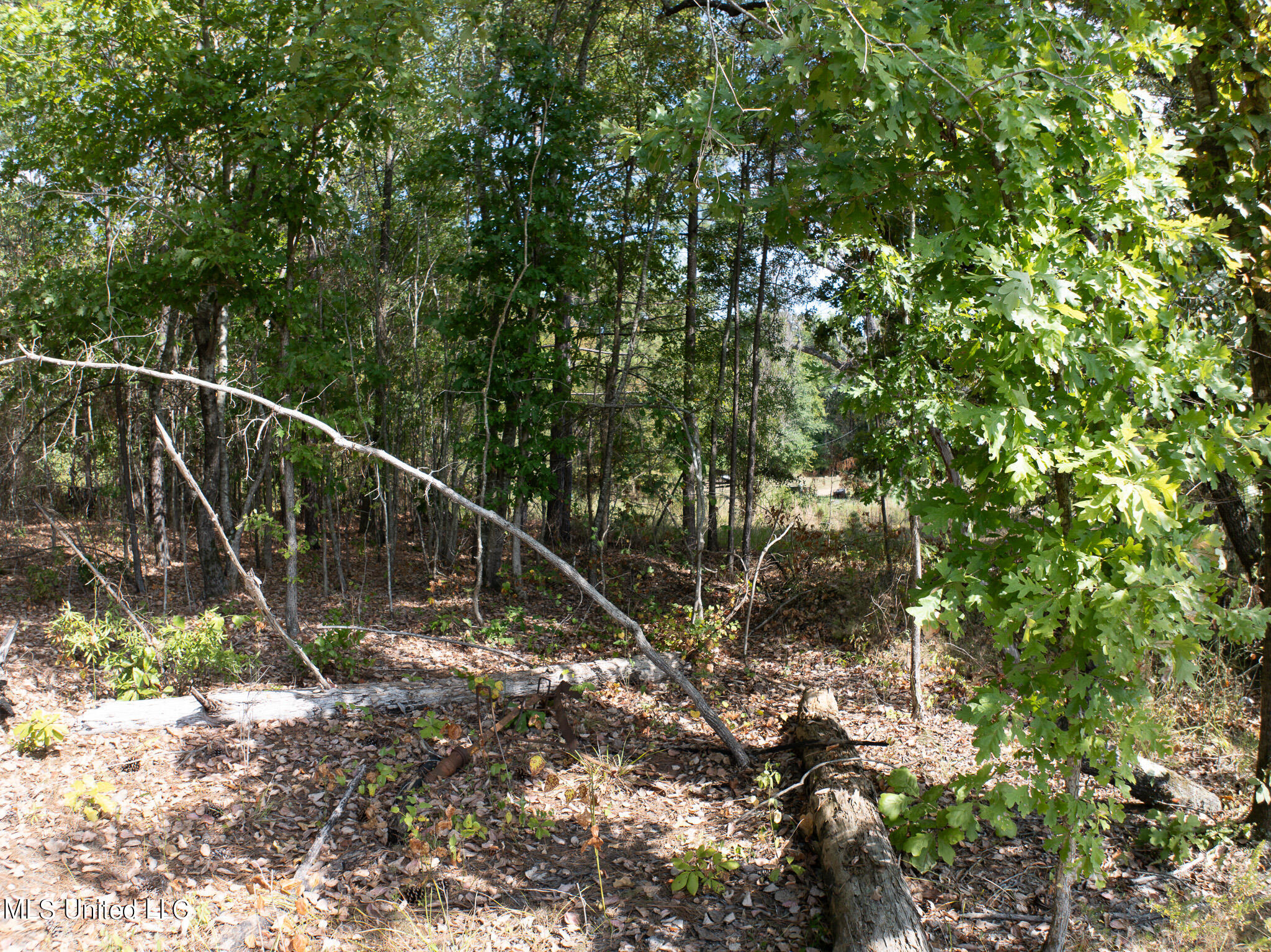 Cr 816, Blue Mountain, Mississippi image 16