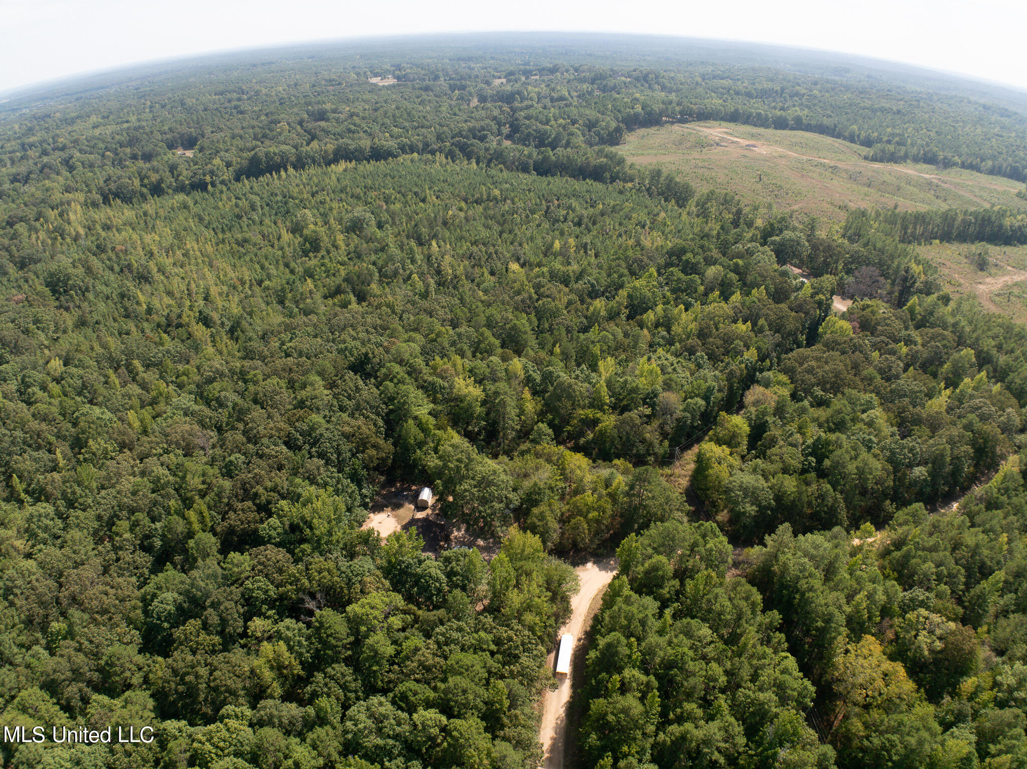 Cr 816, Blue Mountain, Mississippi image 19