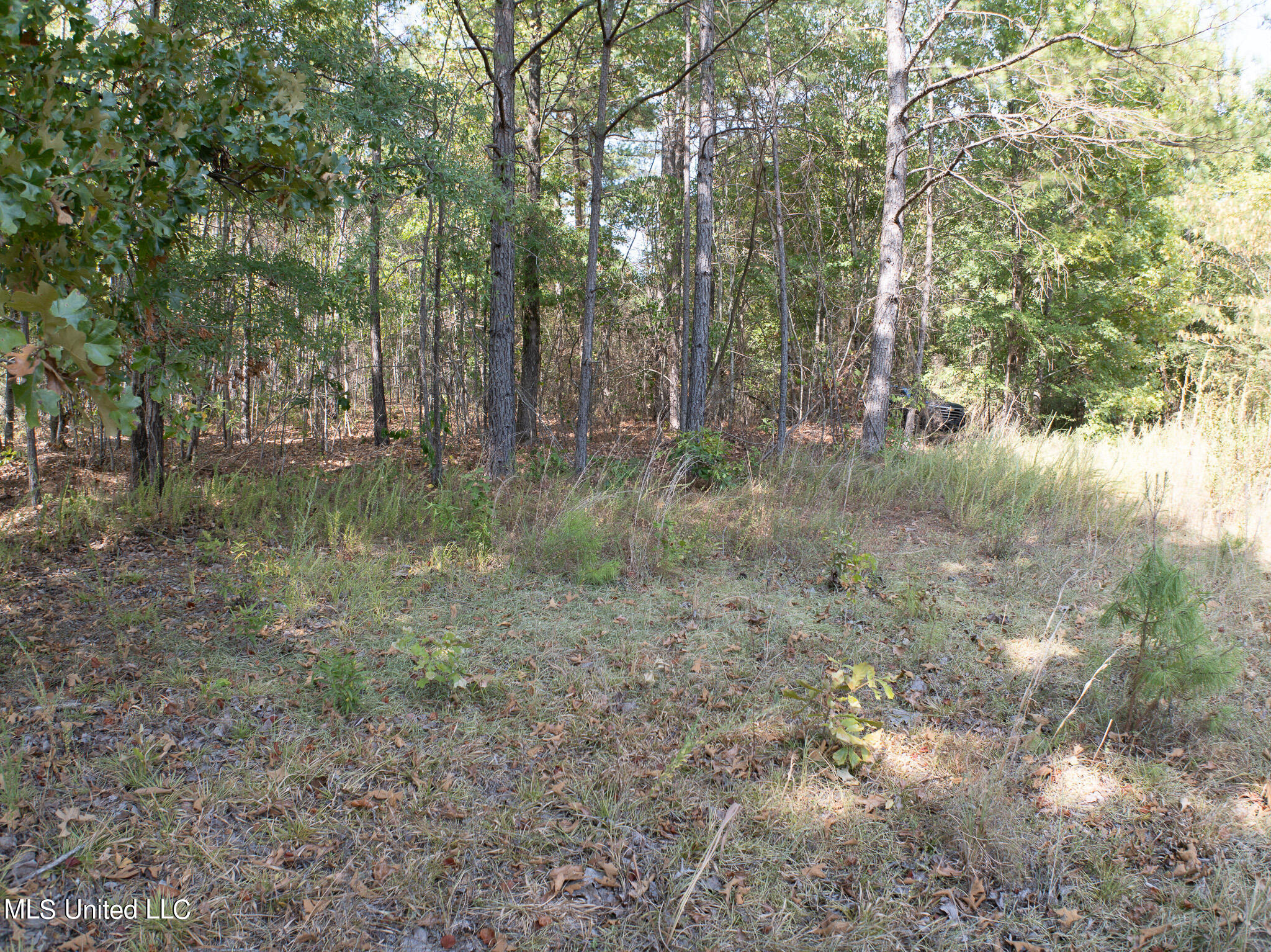 Cr 816, Blue Mountain, Mississippi image 9