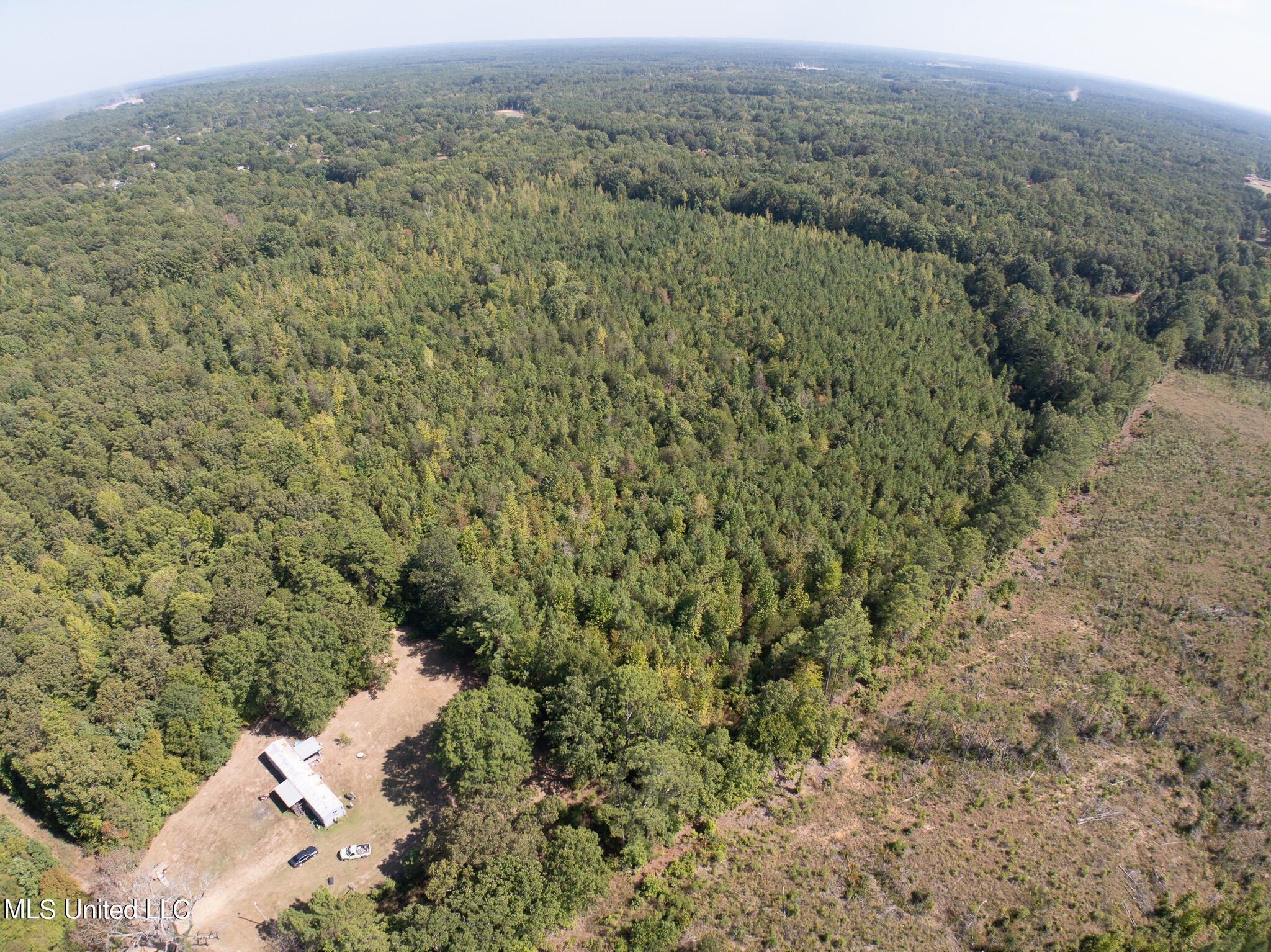 Cr 816, Blue Mountain, Mississippi image 22