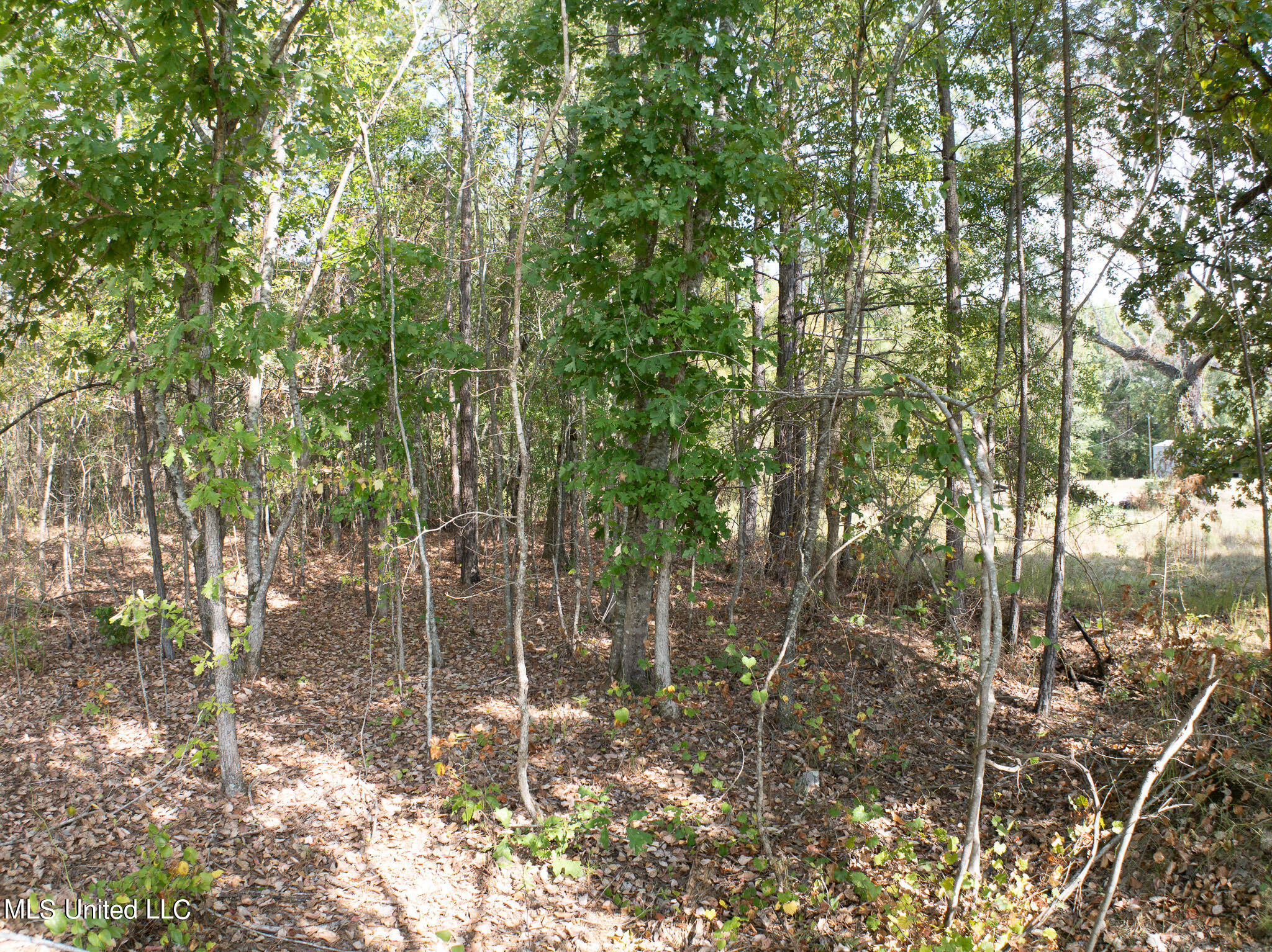 Cr 816, Blue Mountain, Mississippi image 15