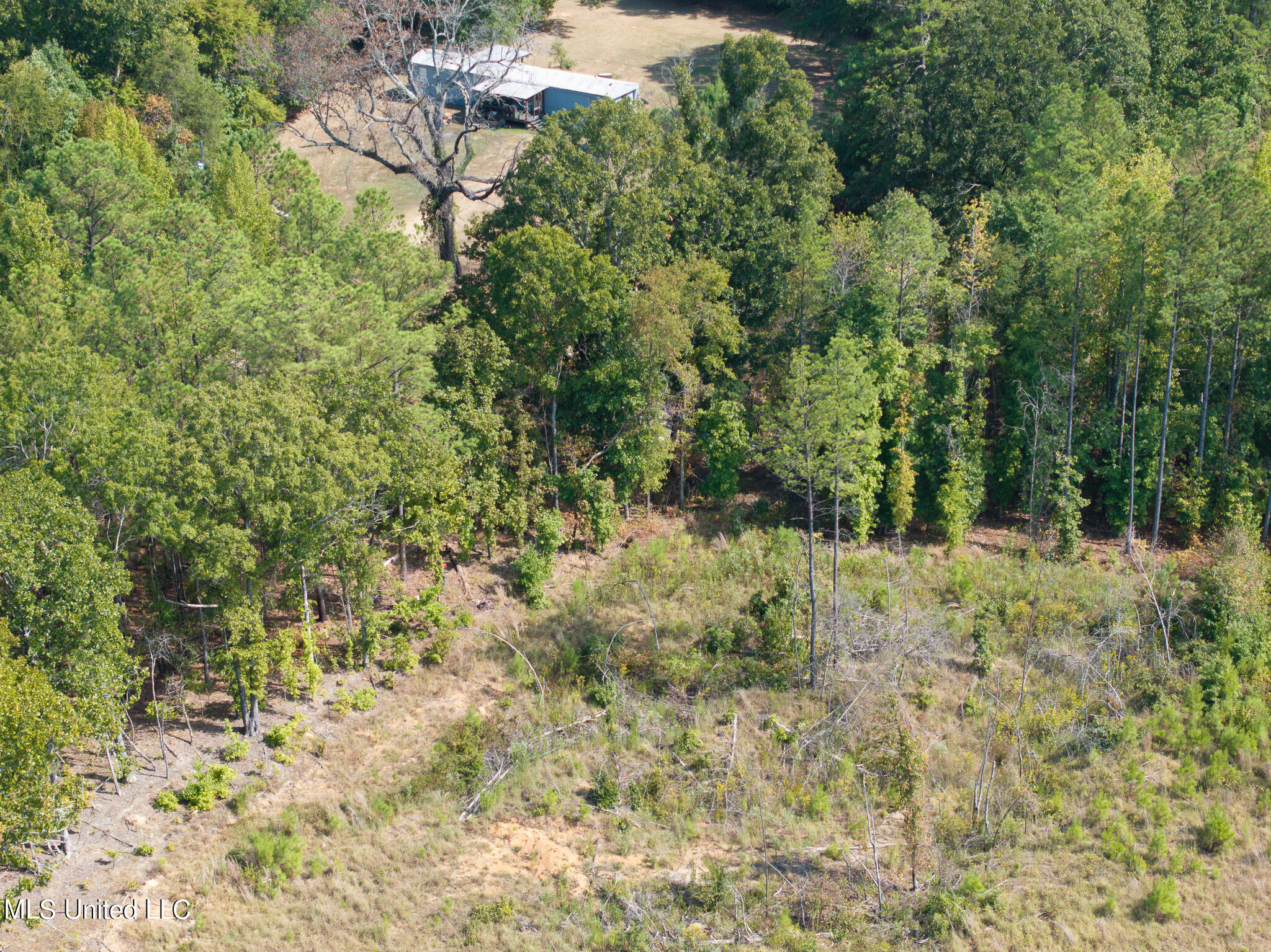 Cr 816, Blue Mountain, Mississippi image 27