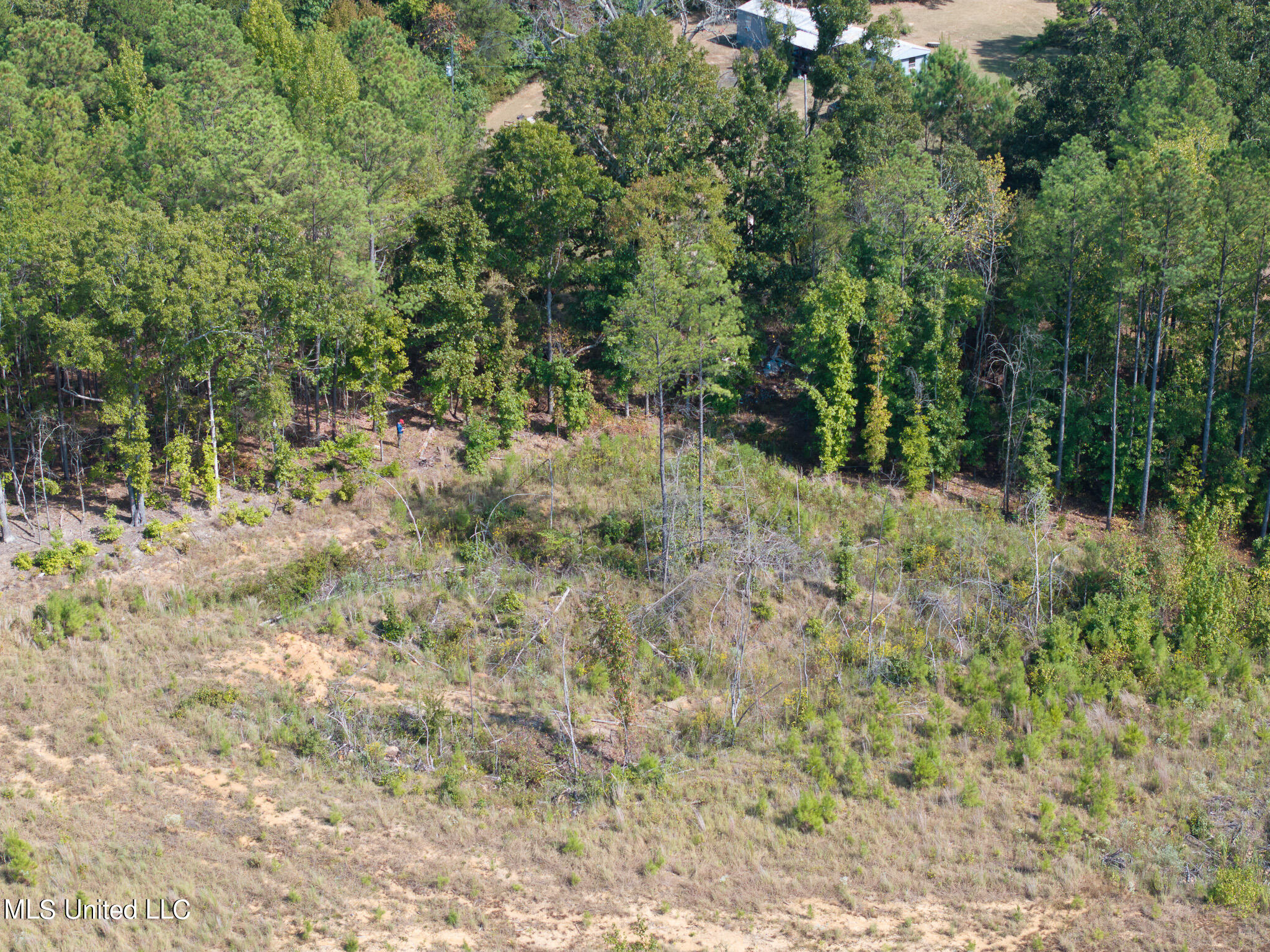 Cr 816, Blue Mountain, Mississippi image 12