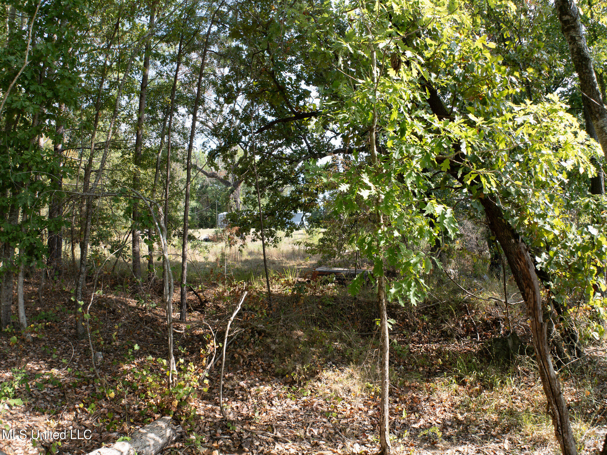 Cr 816, Blue Mountain, Mississippi image 31