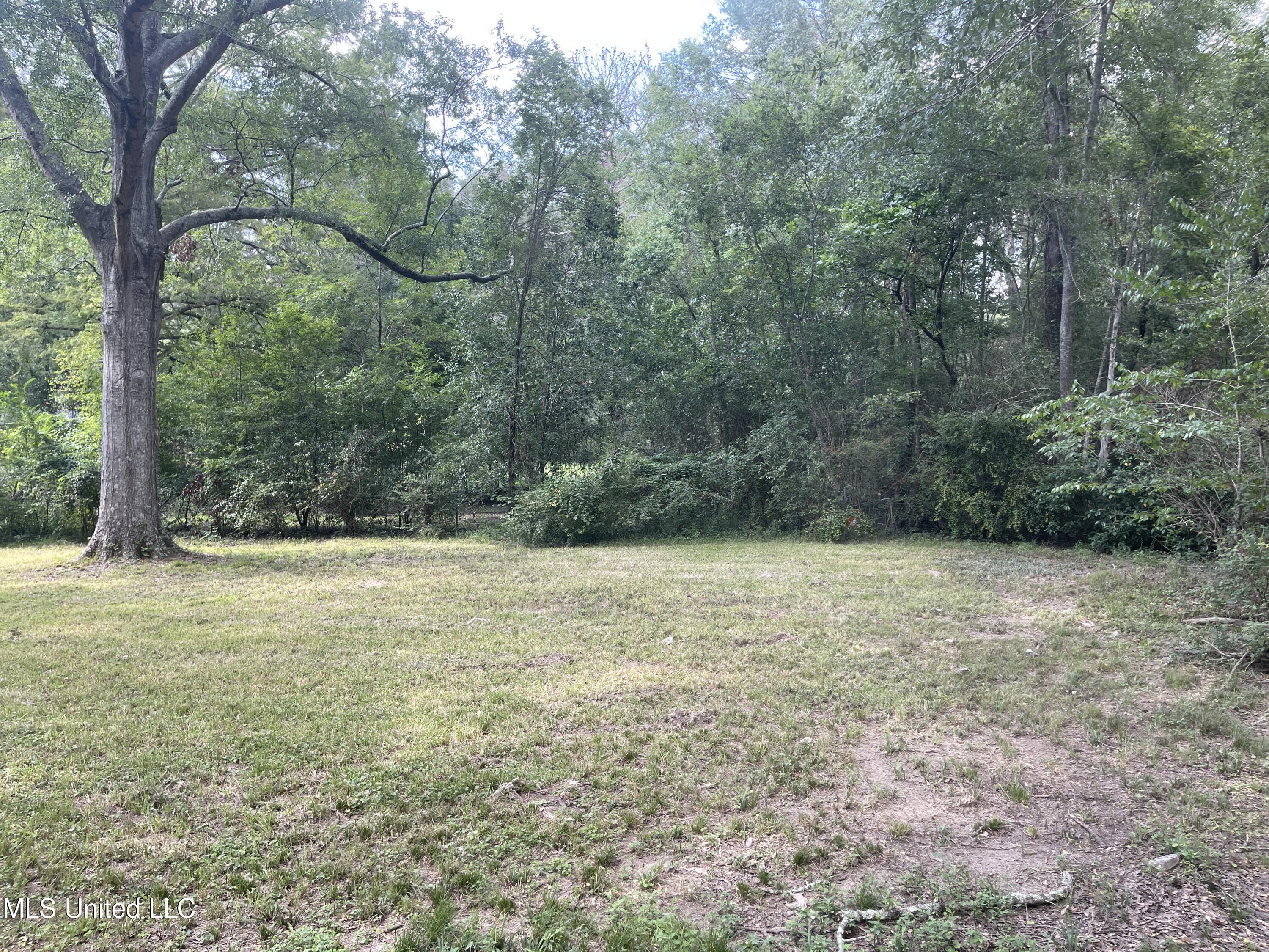 220 Wildwood Terrace, Jackson, Mississippi image 13
