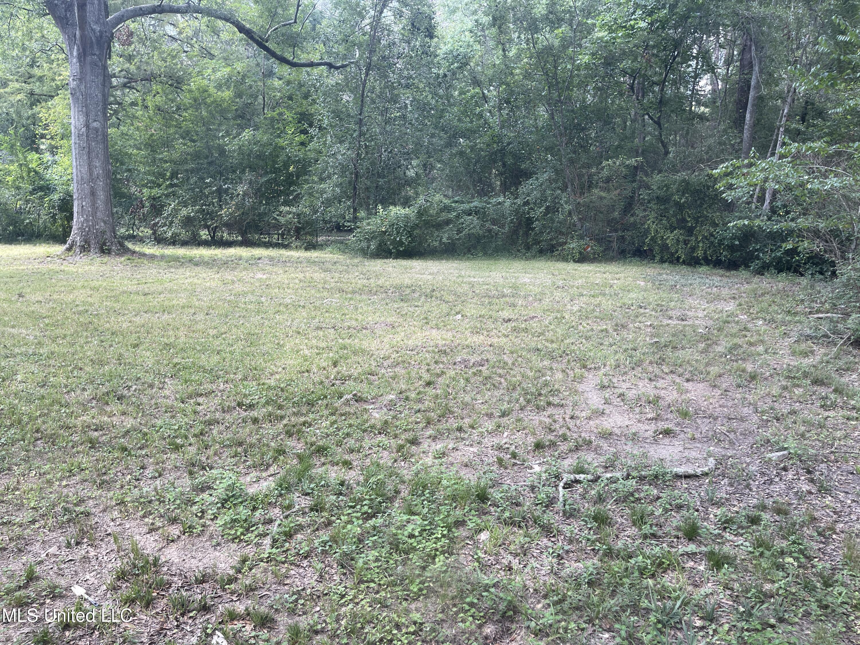 220 Wildwood Terrace, Jackson, Mississippi image 14
