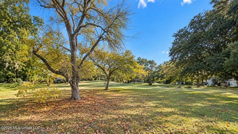 Vacant Land For Sale - 110 Beverly Drive<br/> Hancock County, Bay Saint Louis, MS 39520
