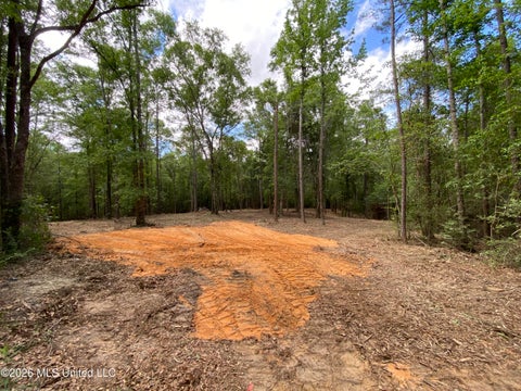 Vacant Land For Sale - 74 +/- AC Cowart Road<br/> Lucedale, MS 39452