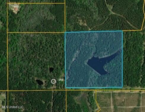 Woodson Lane, Poplarville, Mississippi image 14