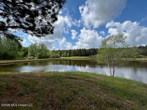 Vacant Land For Sale - Mississippi 583<br/> Walthall County, Tylertown, MS 39667