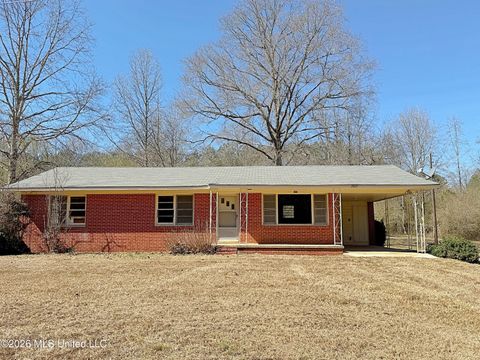 Homes For Sale - 2897 Tuck Wilkes Road<br/> Winston County, Noxapater, MS 39346