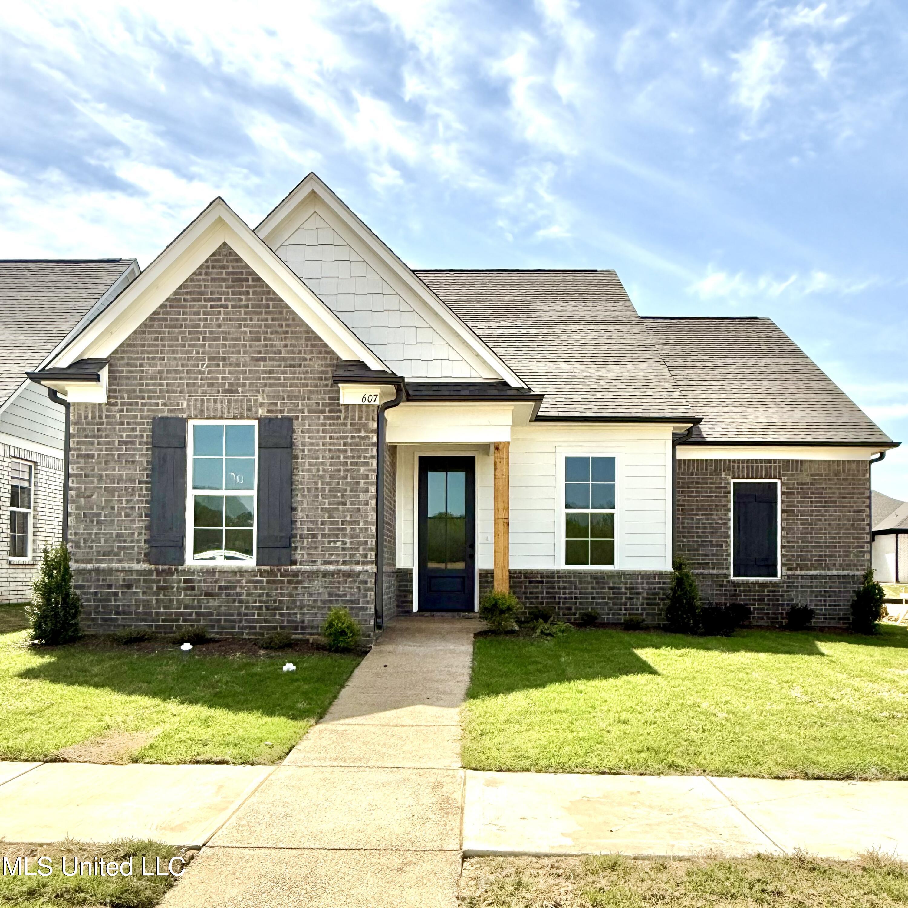 607 Sunflower Street, Nesbit, Mississippi image 1