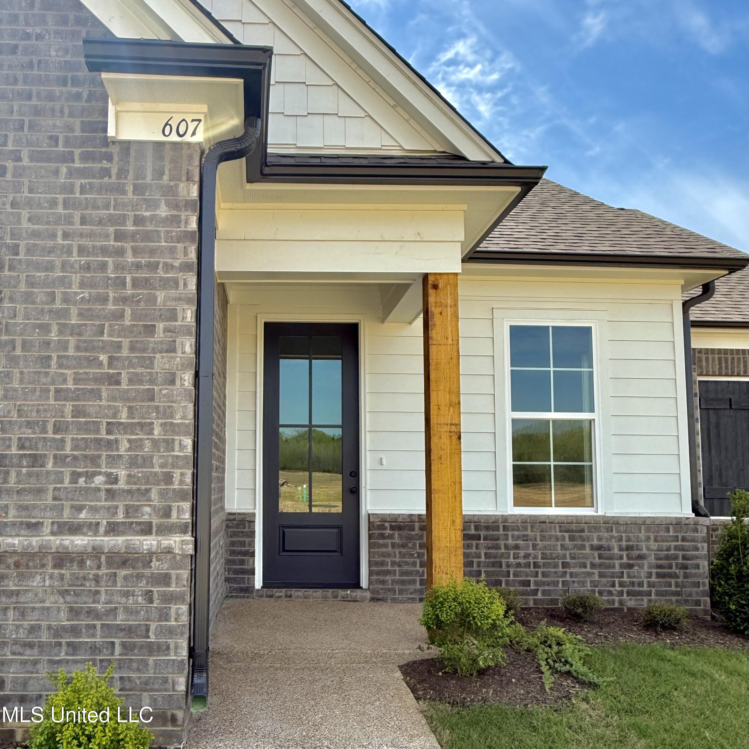 607 Sunflower Street, Nesbit, Mississippi image 2