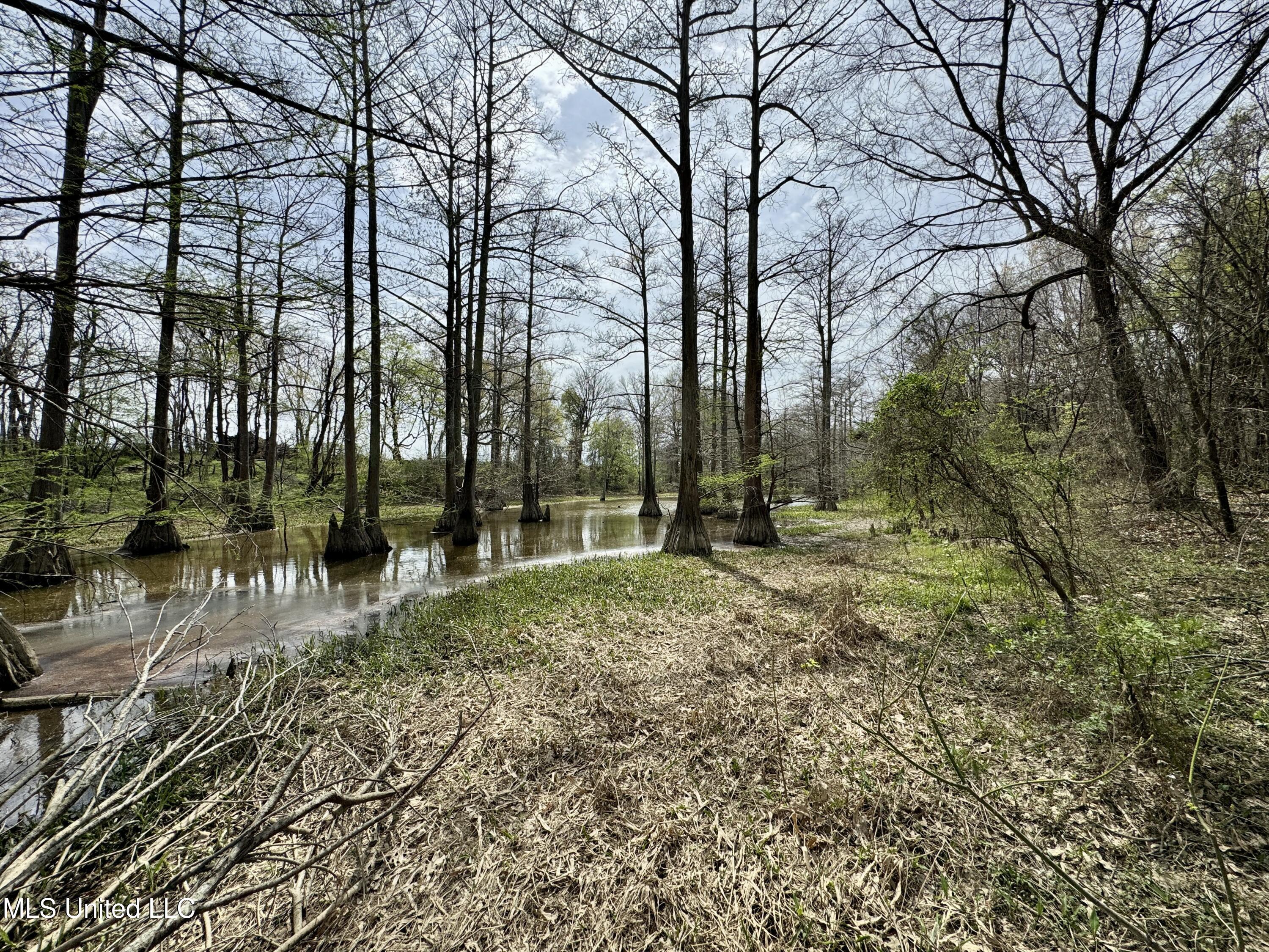 Drew Ruleville Road, Ruleville, Mississippi image 25