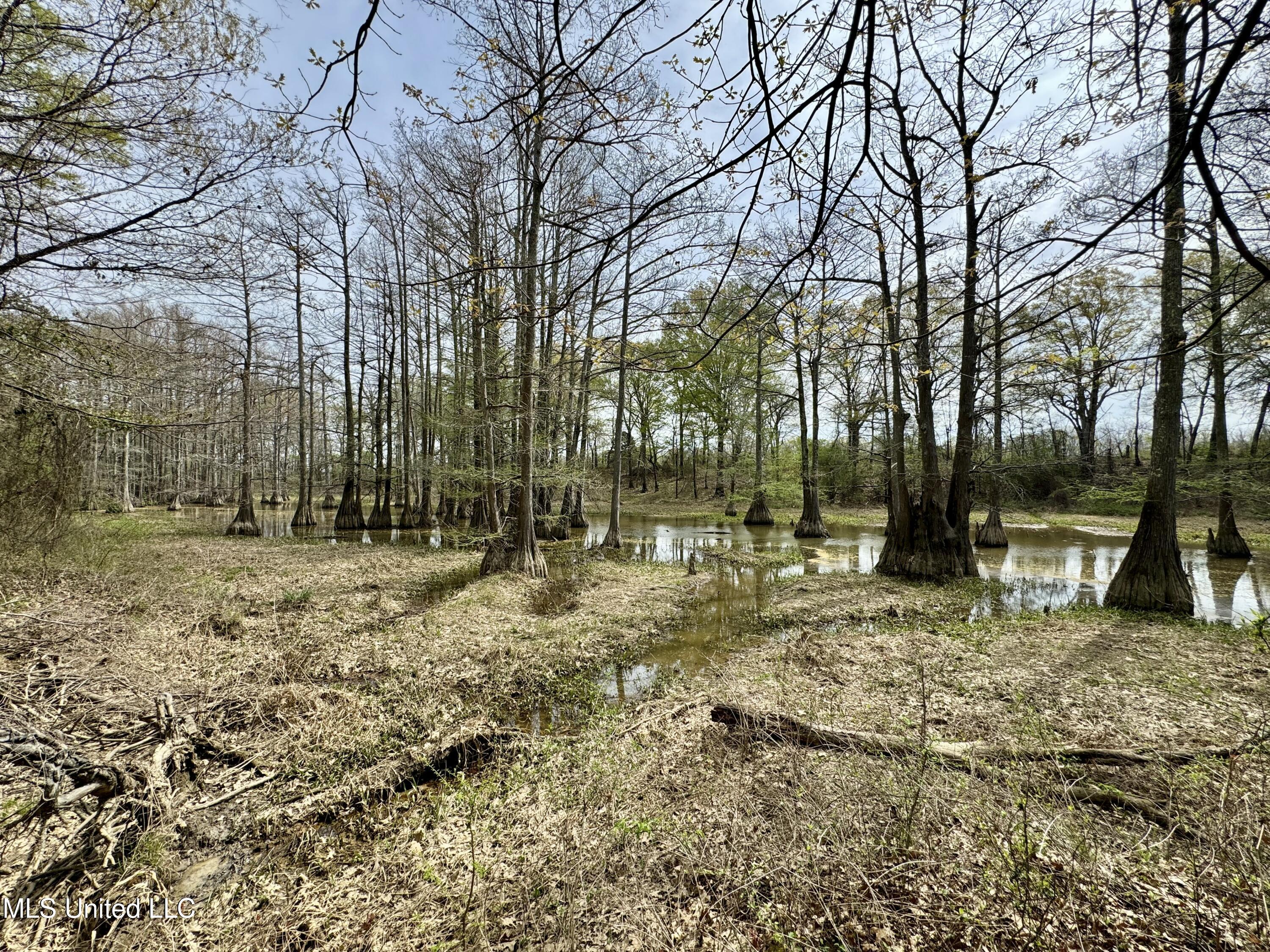 Drew Ruleville Road, Ruleville, Mississippi image 15