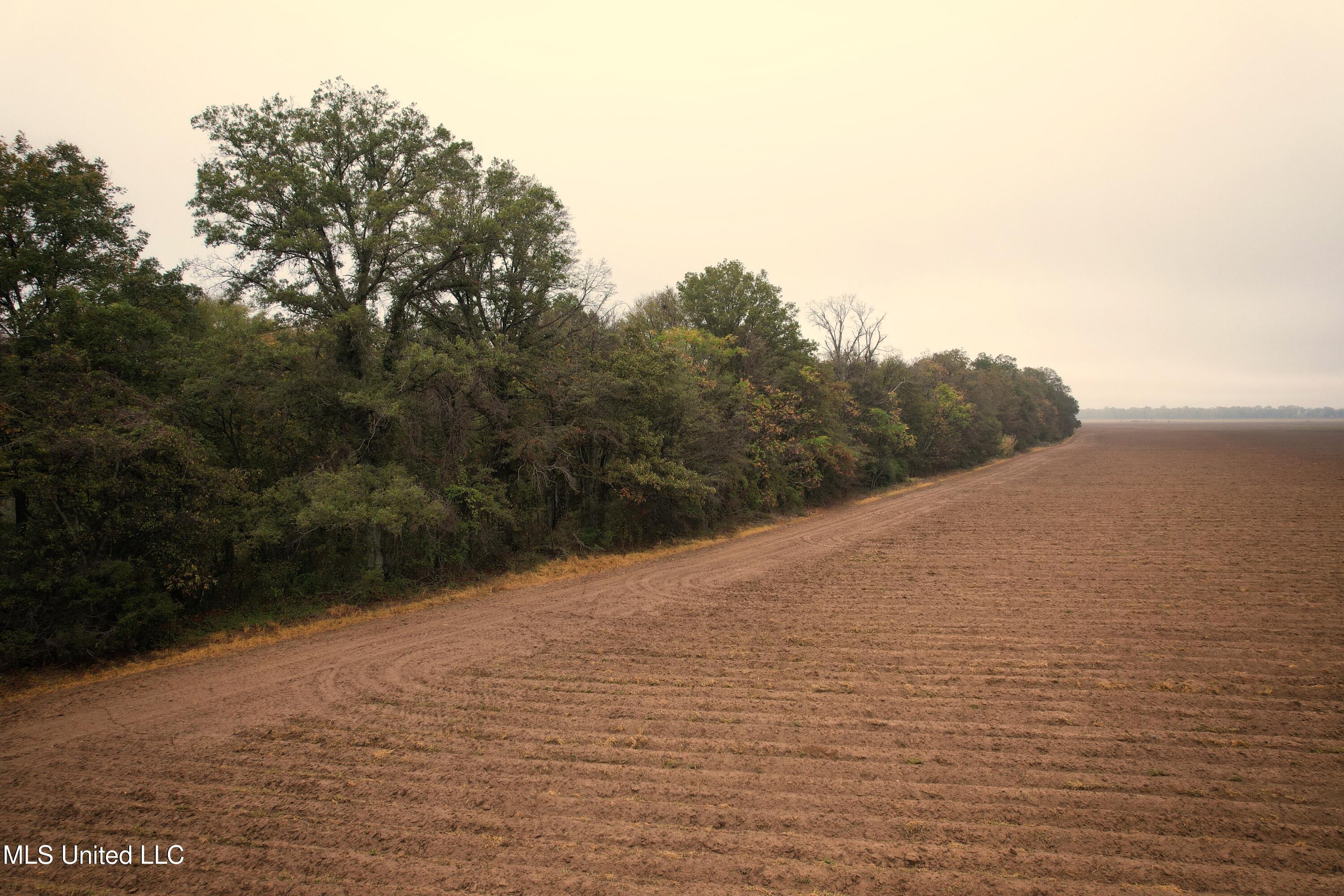 Drew Ruleville Road, Ruleville, Mississippi image 3