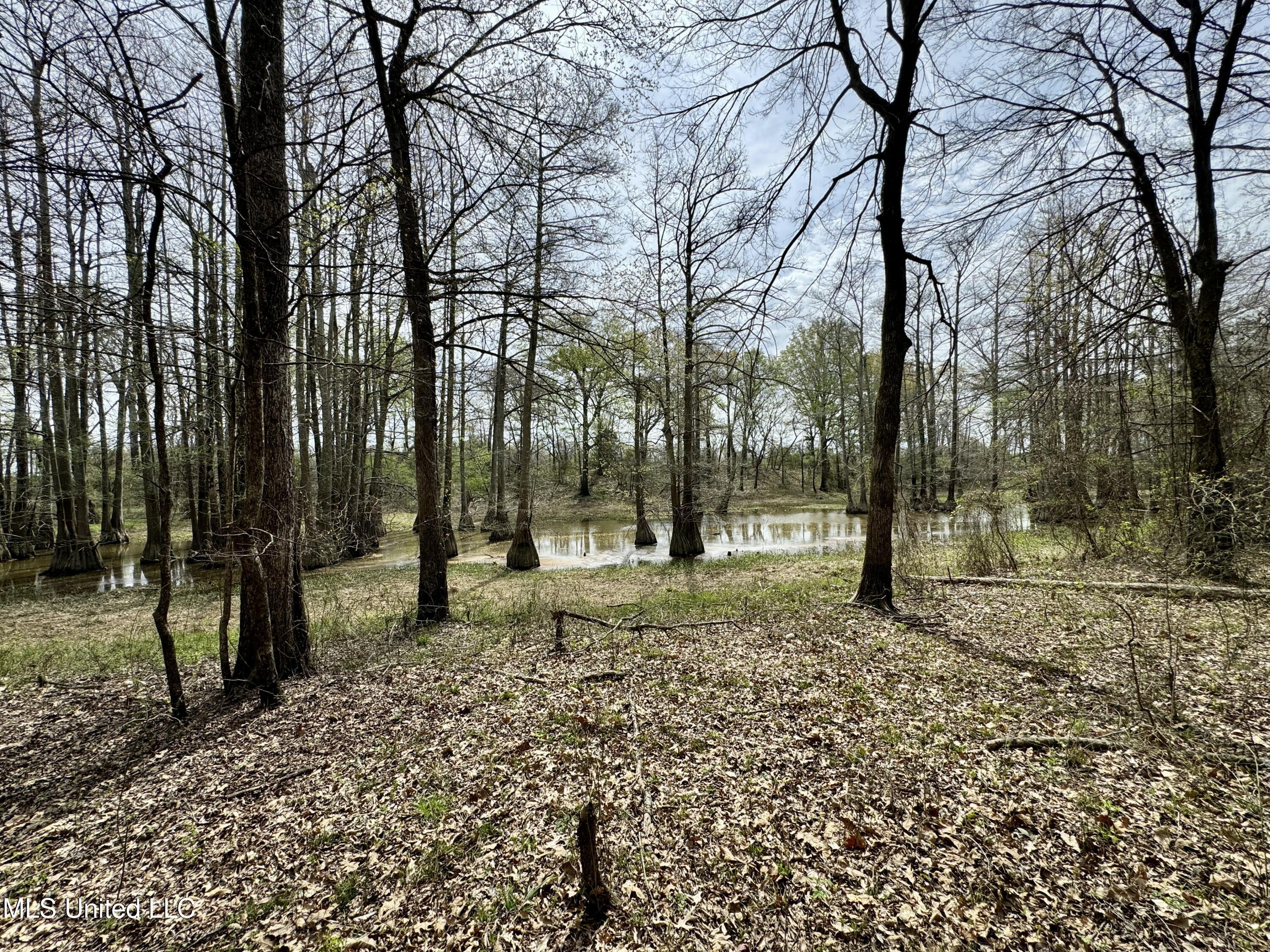 Drew Ruleville Road, Ruleville, Mississippi image 18