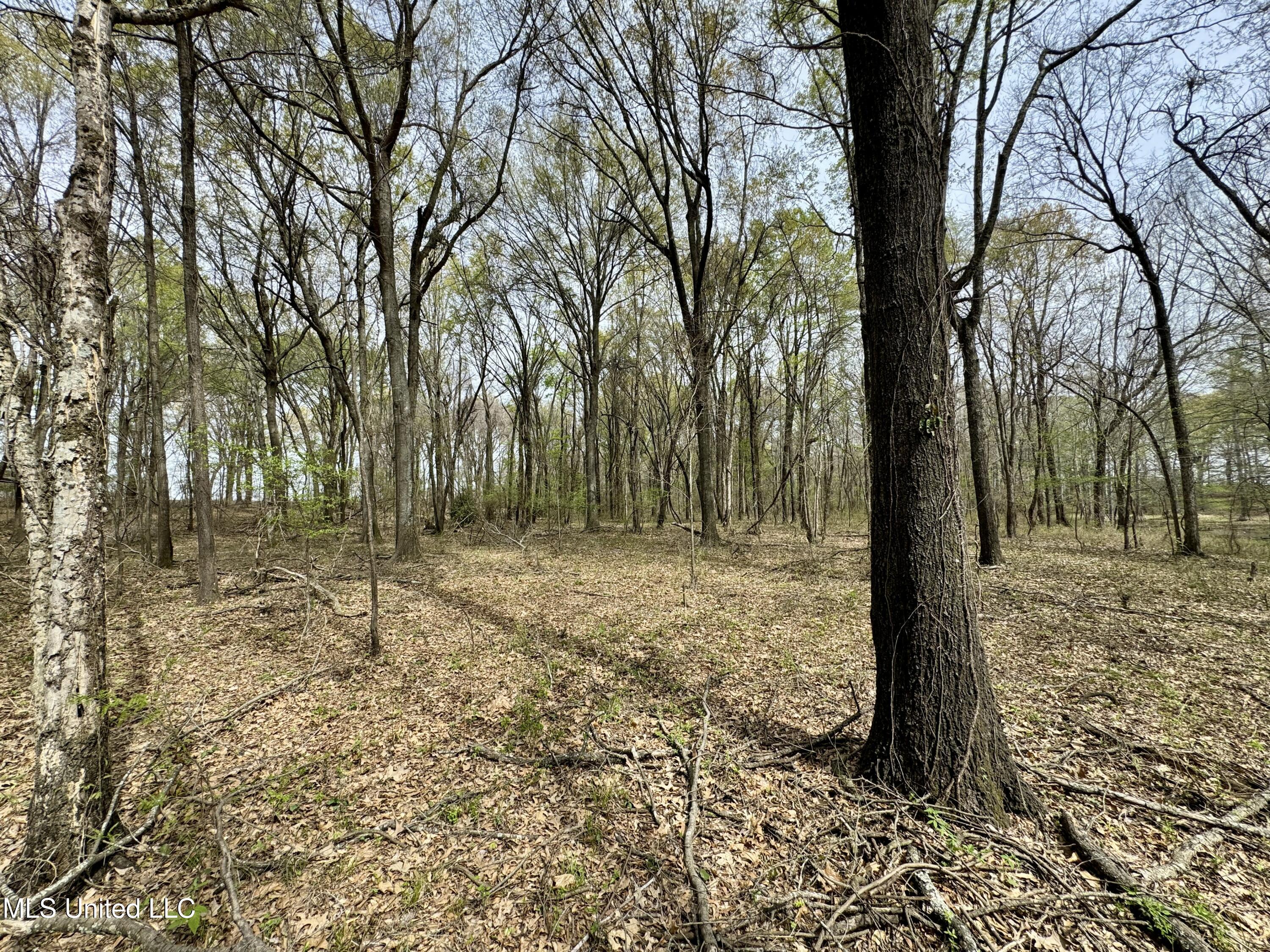 Drew Ruleville Road, Ruleville, Mississippi image 17