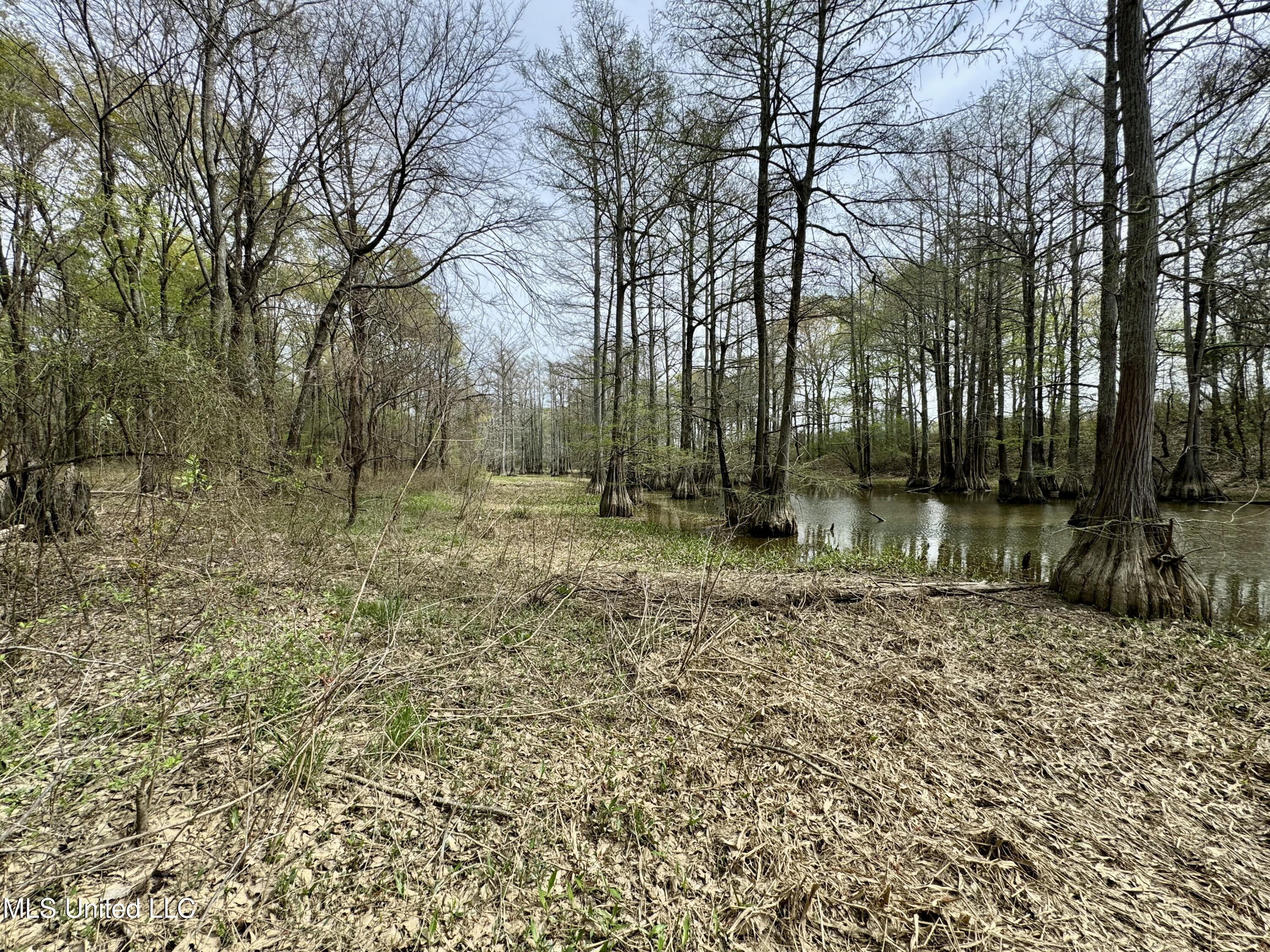 Drew Ruleville Road, Ruleville, Mississippi image 8