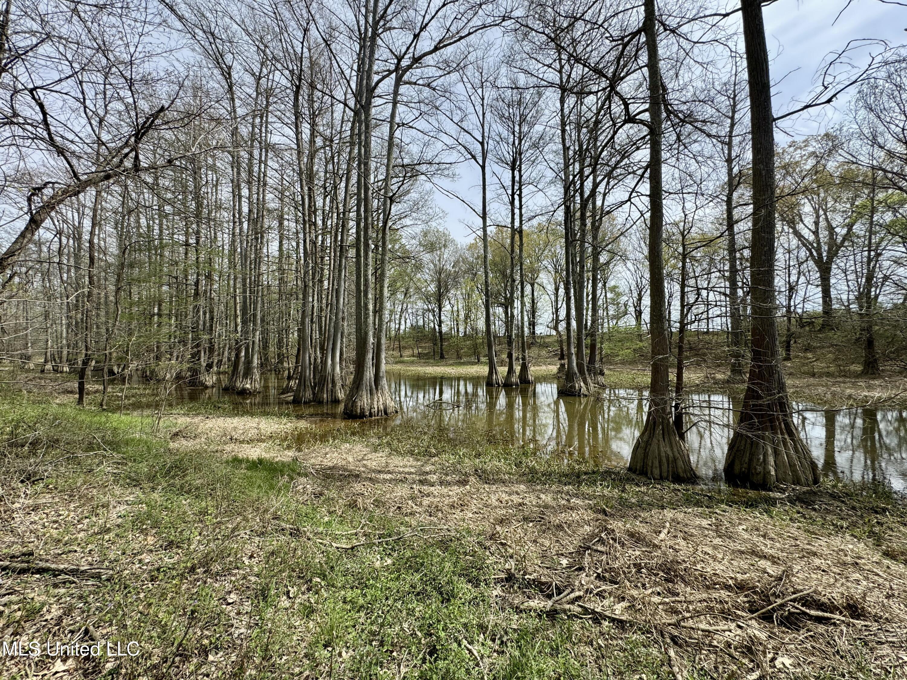 Drew Ruleville Road, Ruleville, Mississippi image 21