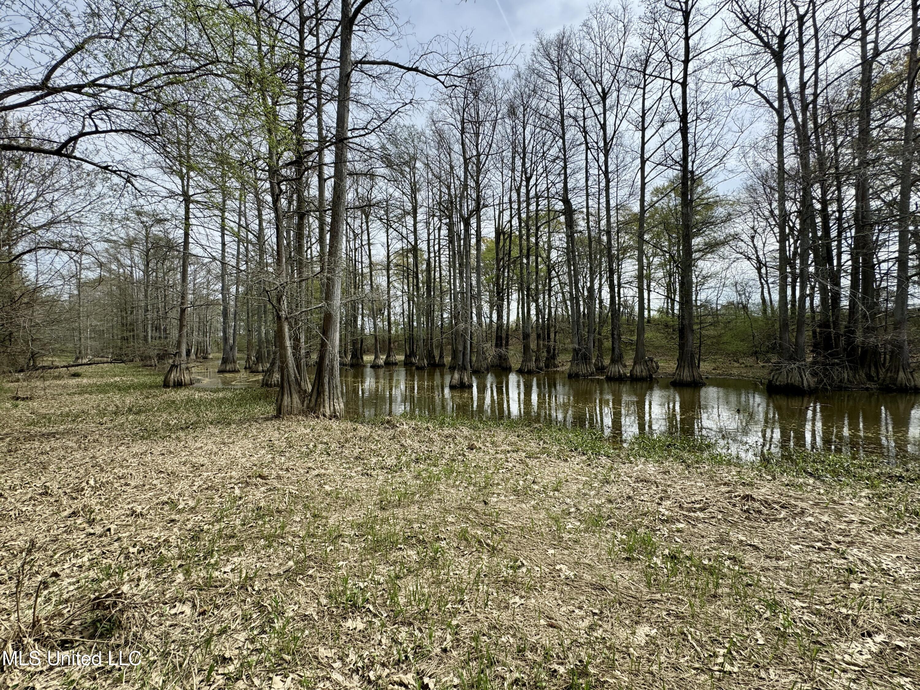 Drew Ruleville Road, Ruleville, Mississippi image 12