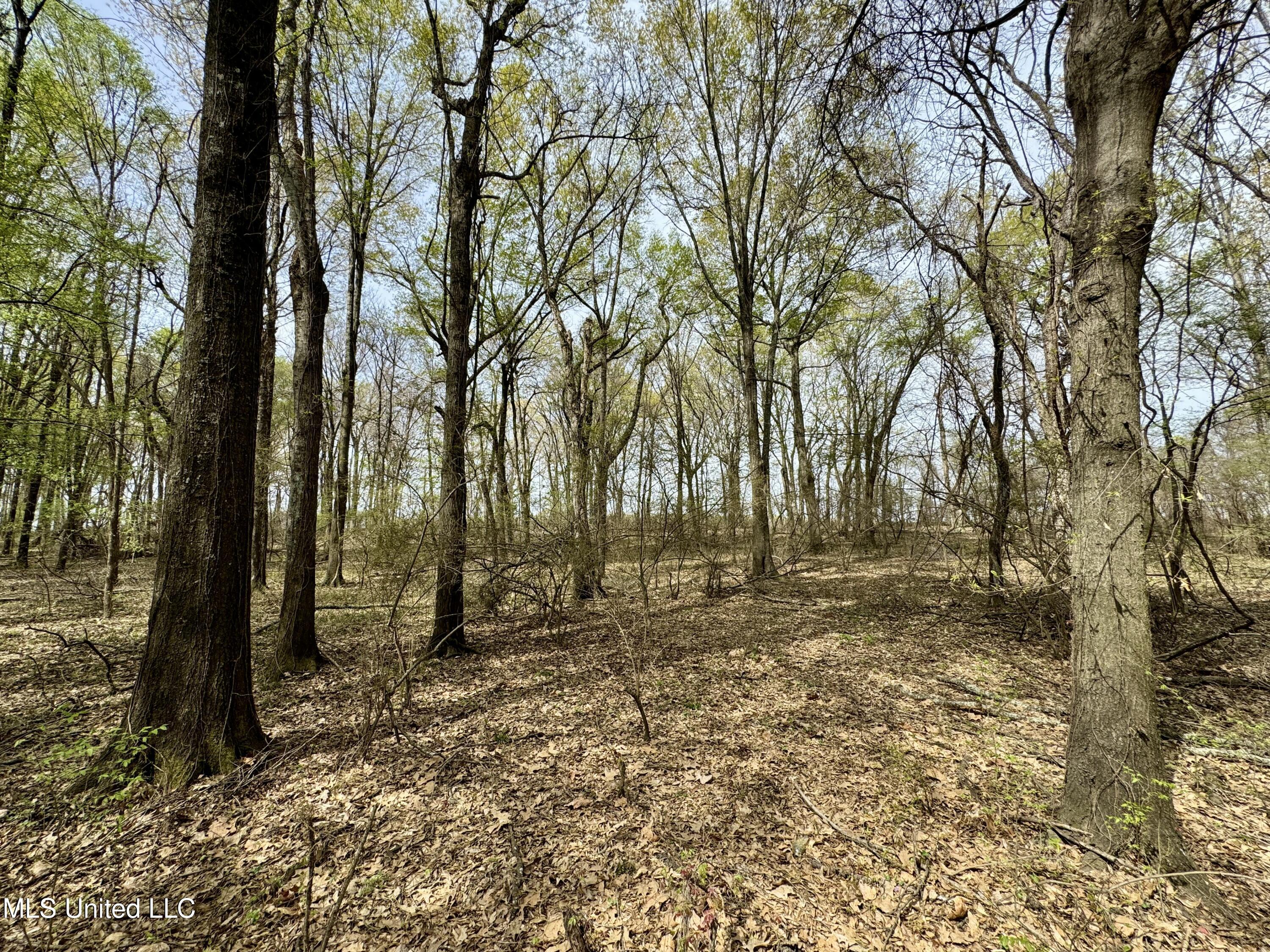 Drew Ruleville Road, Ruleville, Mississippi image 22