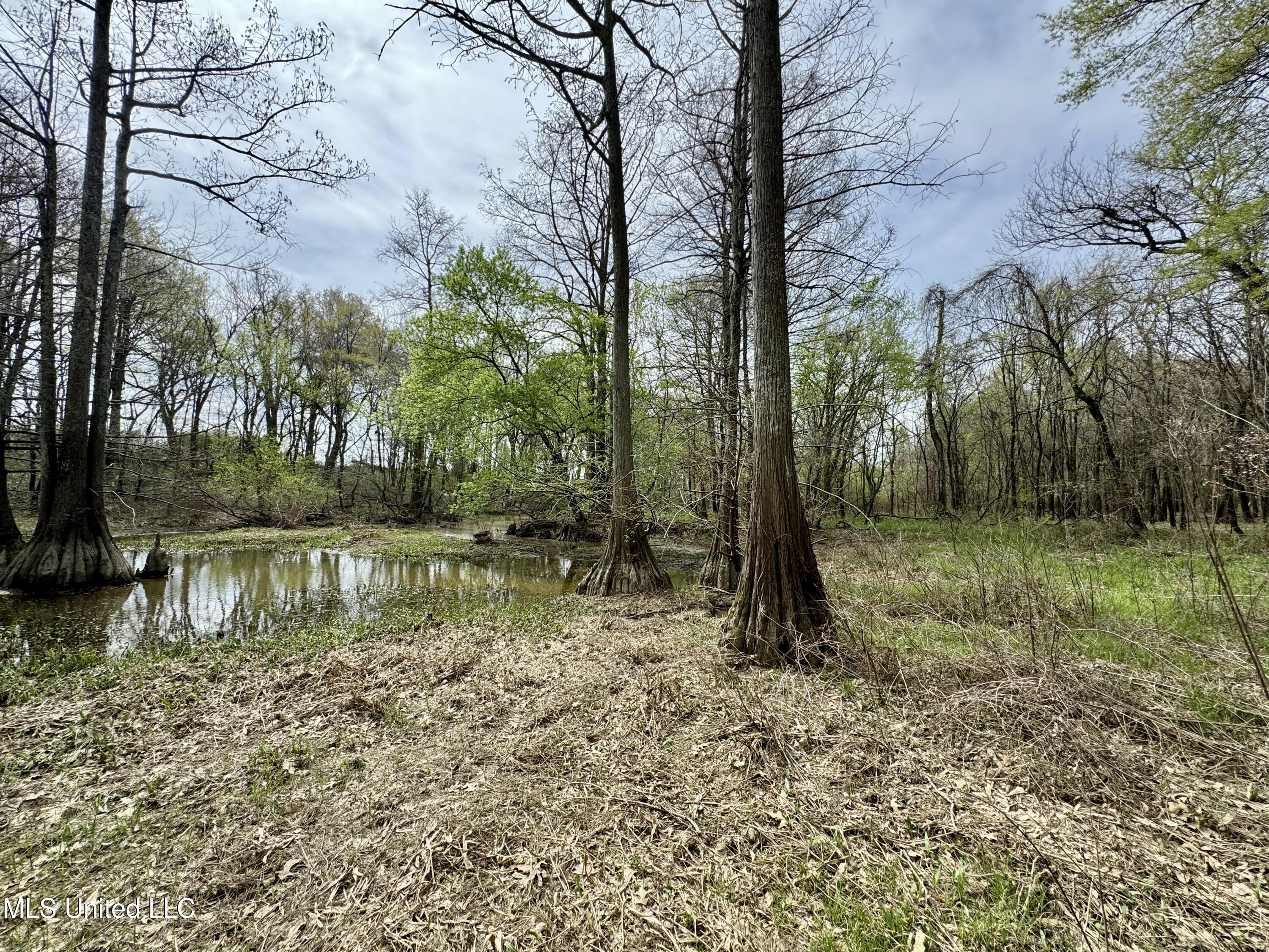 Drew Ruleville Road, Ruleville, Mississippi image 9