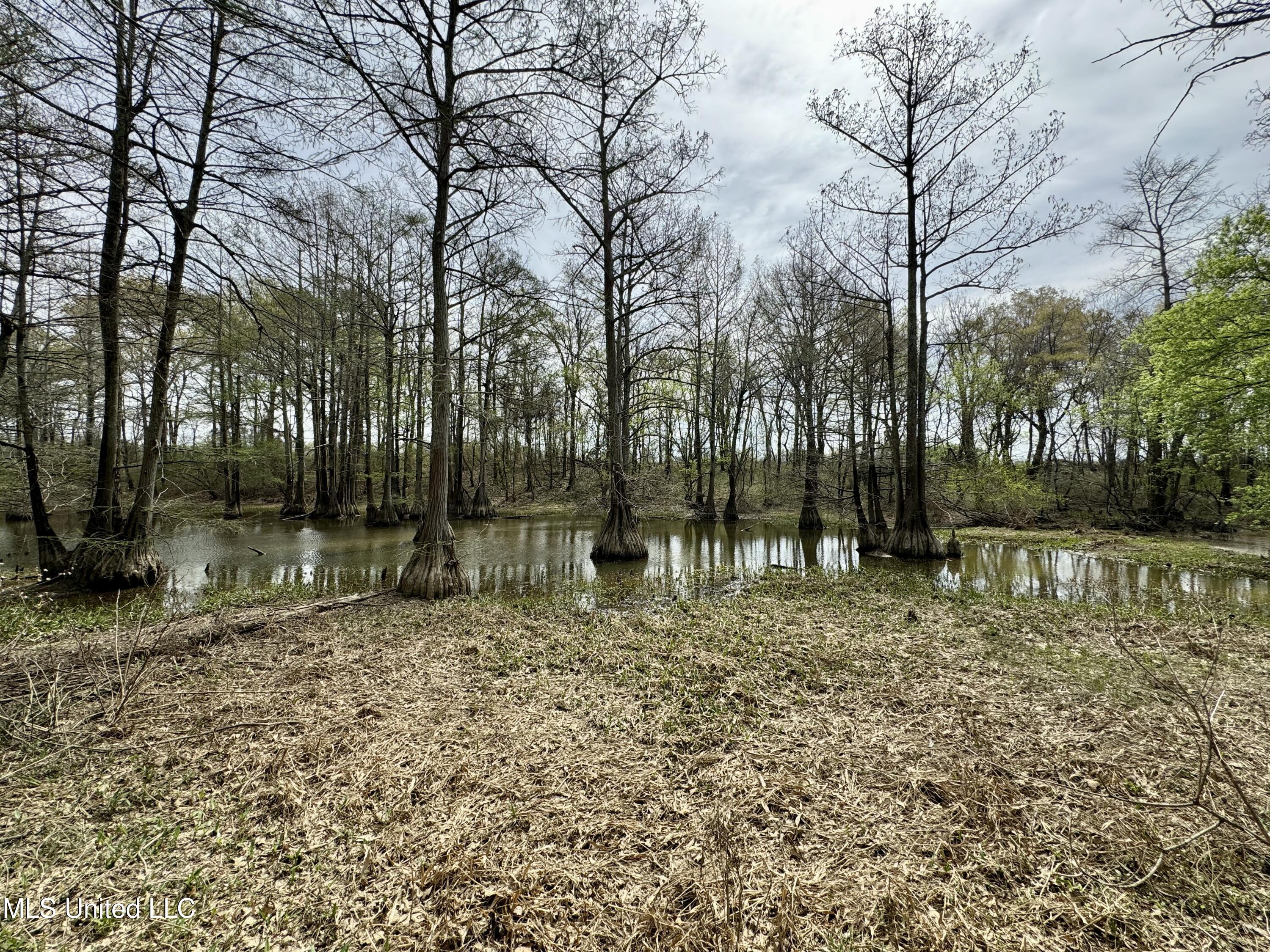 Drew Ruleville Road, Ruleville, Mississippi image 7