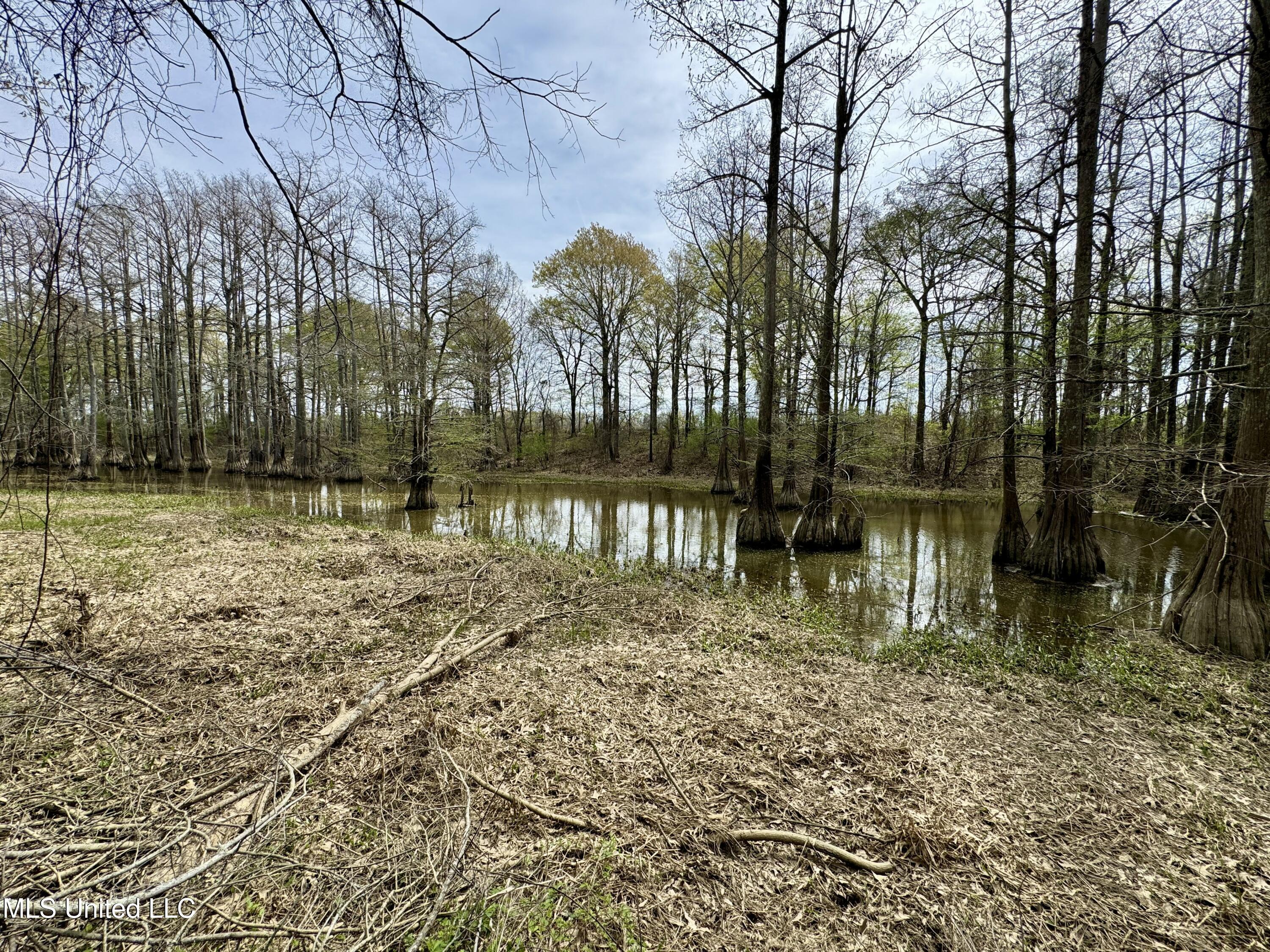 Drew Ruleville Road, Ruleville, Mississippi image 11