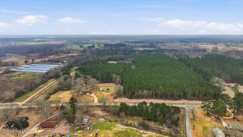 Vacant Land For Sale - 4603 Mississippi 28<br/> Smith County, Mize, MS 39116