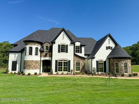 Homes For Sale - 11210 Vicki's Lane<br/> Olive Branch, MS 38654