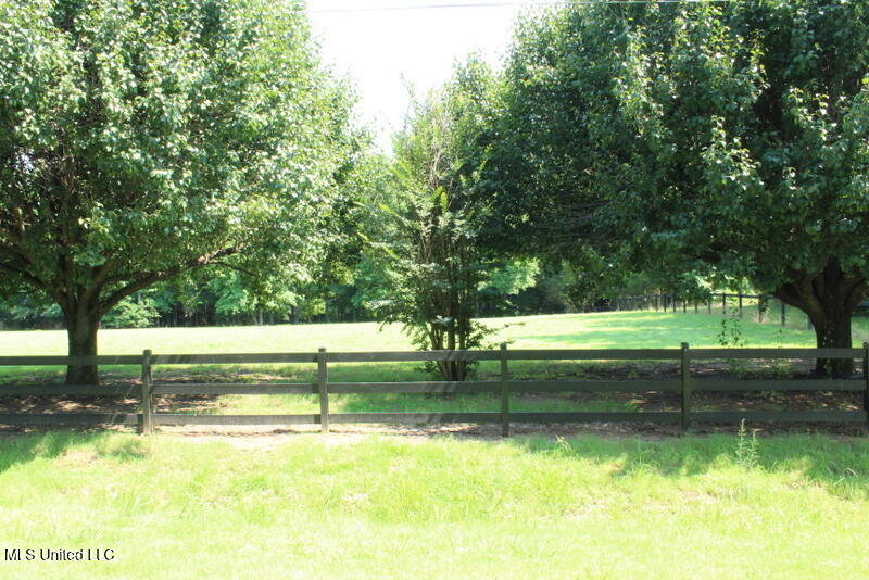 Parrot Lane Lane, Byhalia, Mississippi image 1