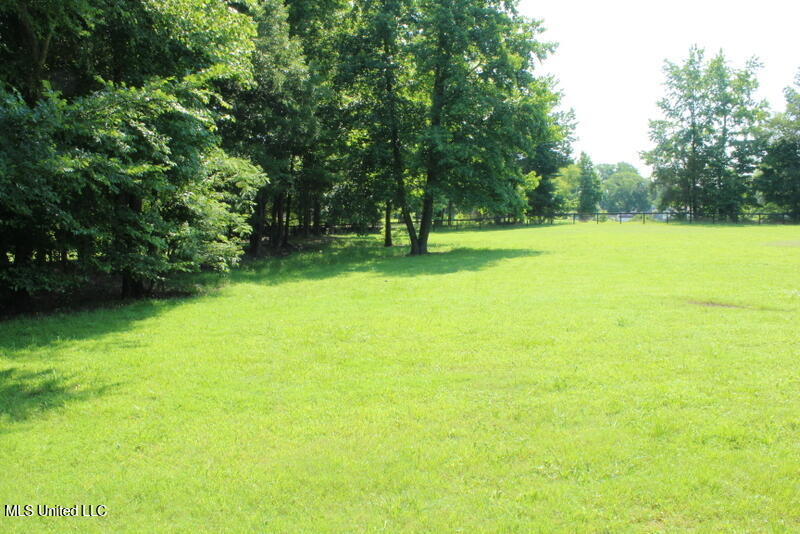 Parrot Lane Lane, Byhalia, Mississippi image 5