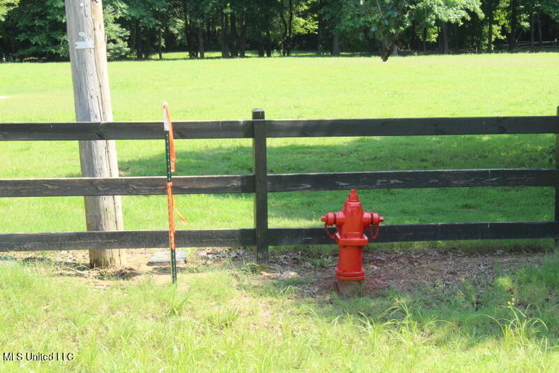 Parrot Lane Lane, Byhalia, Mississippi image 12