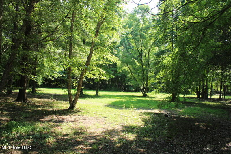 Parrot Lane Lane, Byhalia, Mississippi image 10