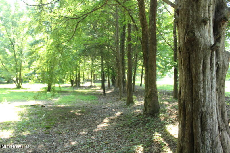 Parrot Lane Lane, Byhalia, Mississippi image 9