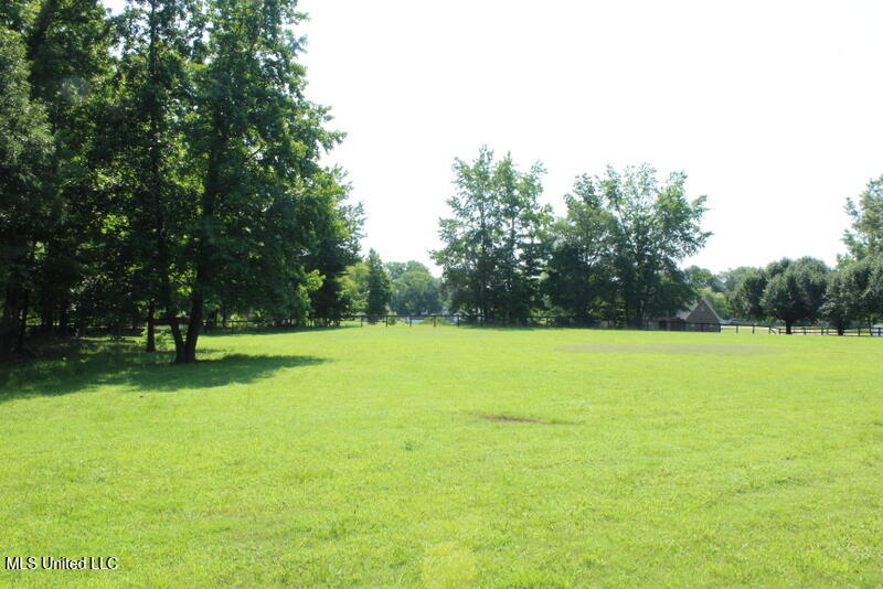 Parrot Lane Lane, Byhalia, Mississippi image 4
