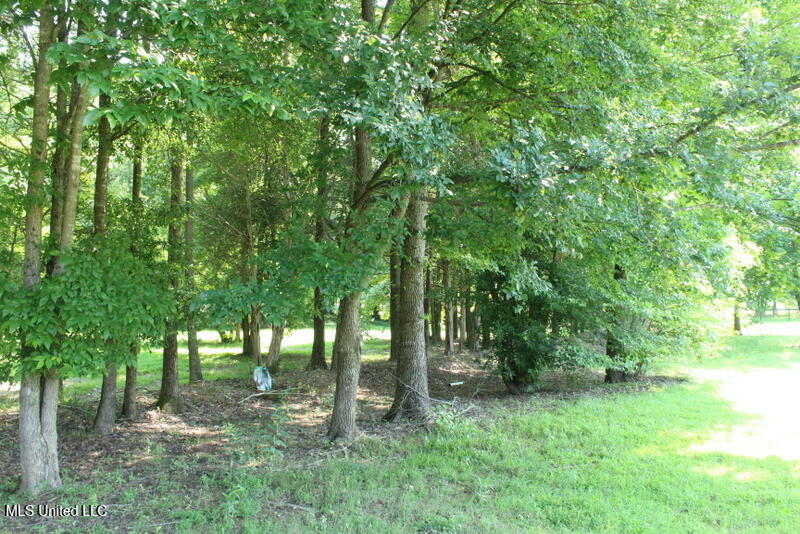 Parrot Lane Lane, Byhalia, Mississippi image 11