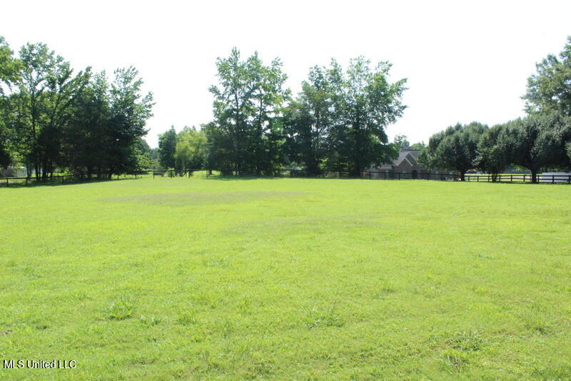 Parrot Lane Lane, Byhalia, Mississippi image 6