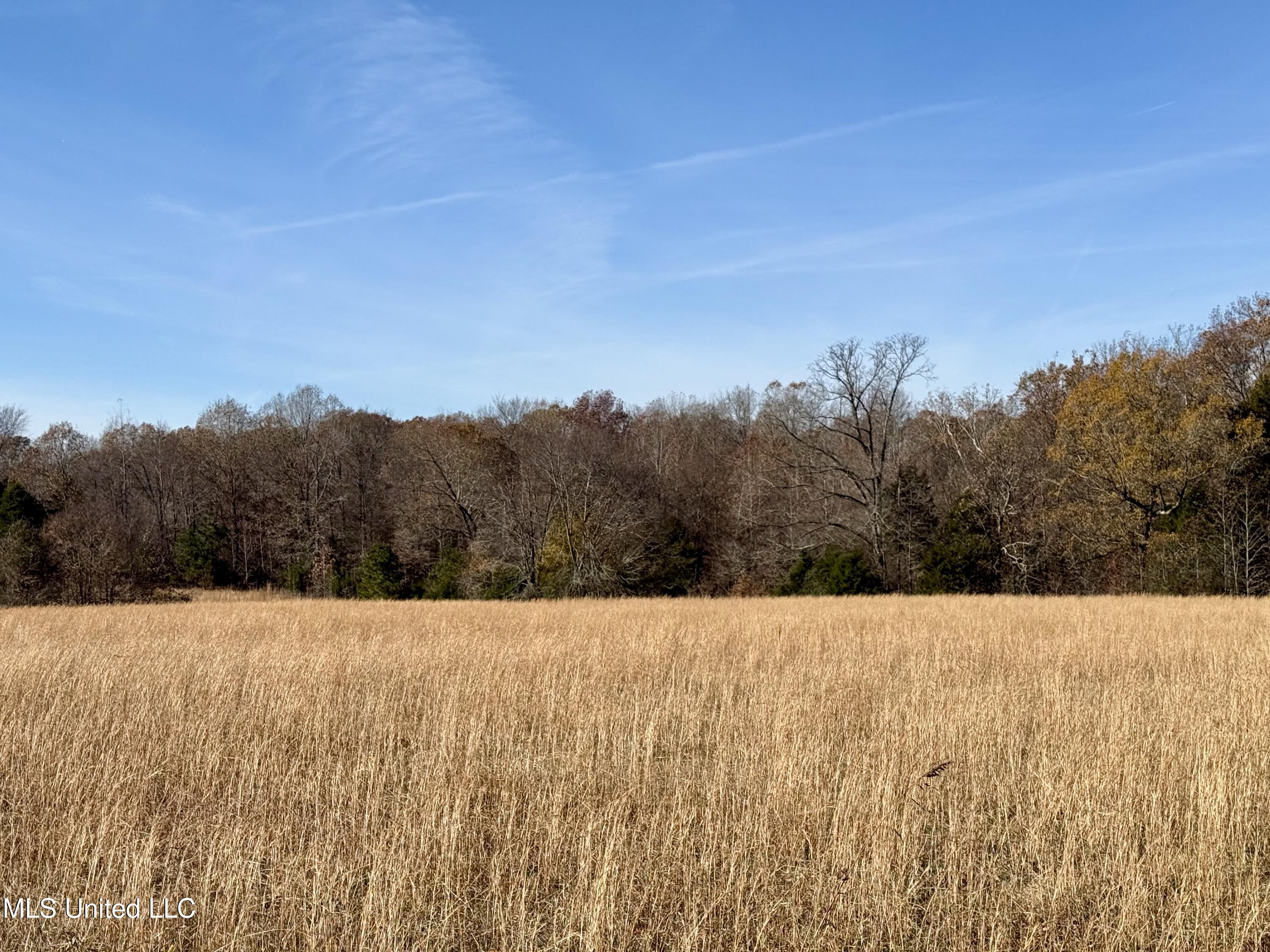 Kelly Ln, Red Banks, Mississippi image 6